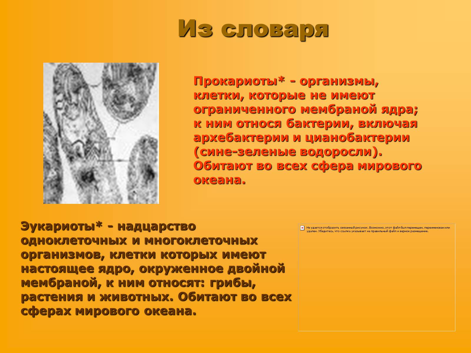 Презентація на тему «Сравнительная характеристика прокариотической и эукариотической клетки» - Слайд #3 Презентація на тему «Сравнительная характеристика прокариотической и эукариотической клетки» - Слайд #3