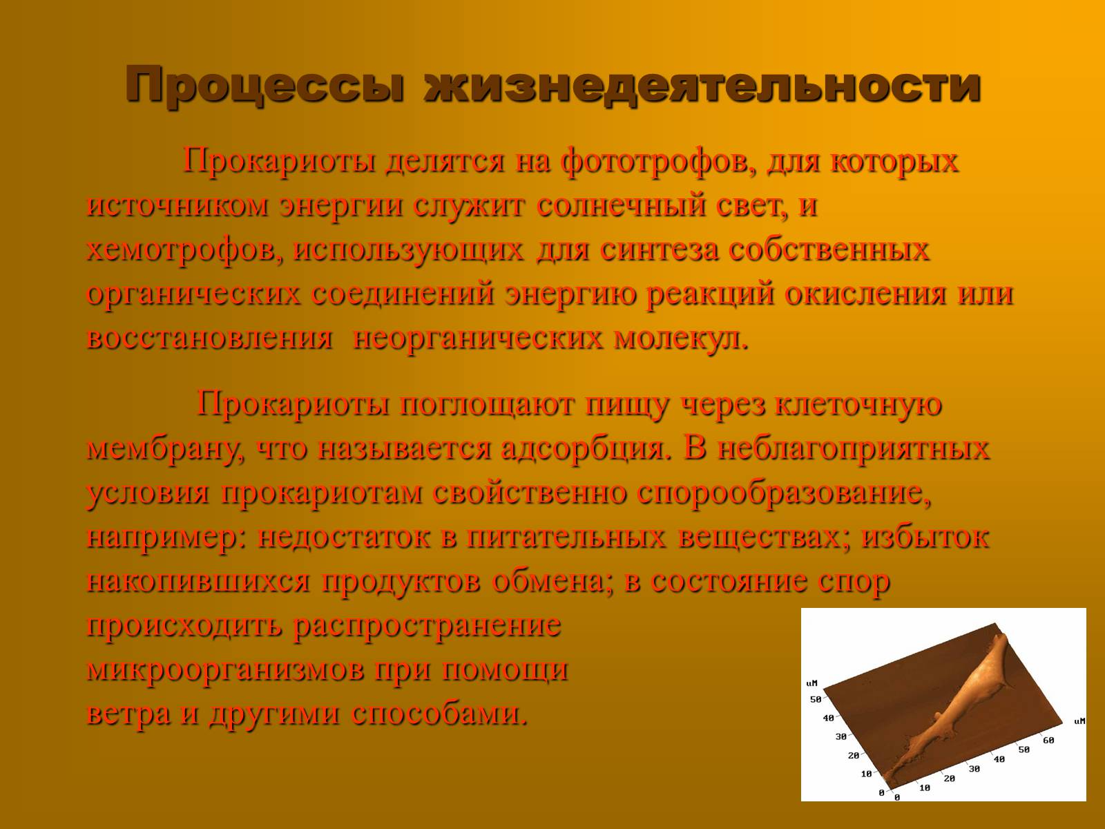 Презентація на тему «Сравнительная характеристика прокариотической и эукариотической клетки» - Слайд #6 Презентація на тему «Сравнительная характеристика прокариотической и эукариотической клетки» - Слайд #6