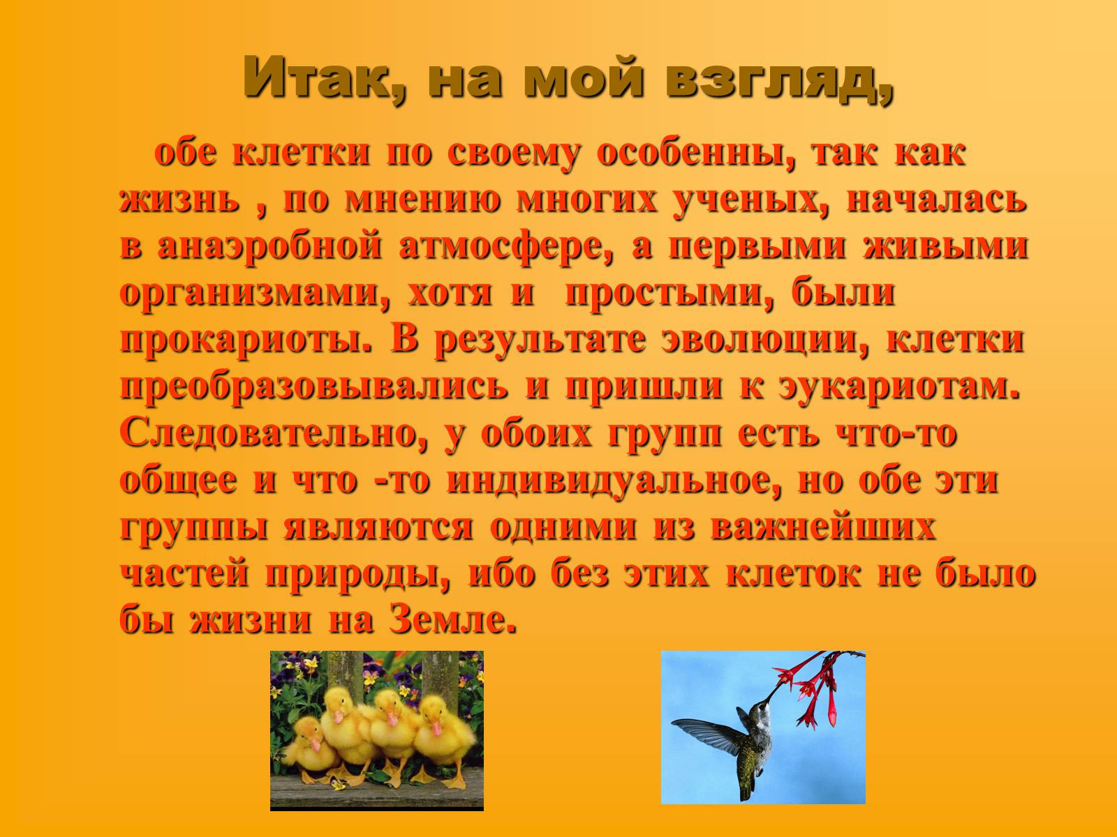 Презентація на тему «Сравнительная характеристика прокариотической и эукариотической клетки» - Слайд #9 Презентація на тему «Сравнительная характеристика прокариотической и эукариотической клетки» - Слайд #9