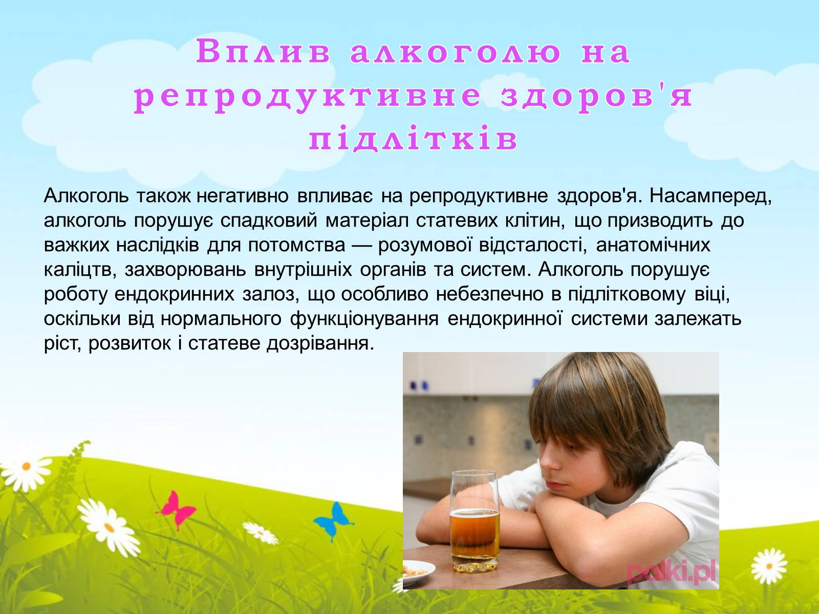 Презентація на тему «Репродуктивне здоров’я» (варіант 2) - Слайд #5 Презентація на тему «Репродуктивне здоров’я» (варіант 2) - Слайд #5