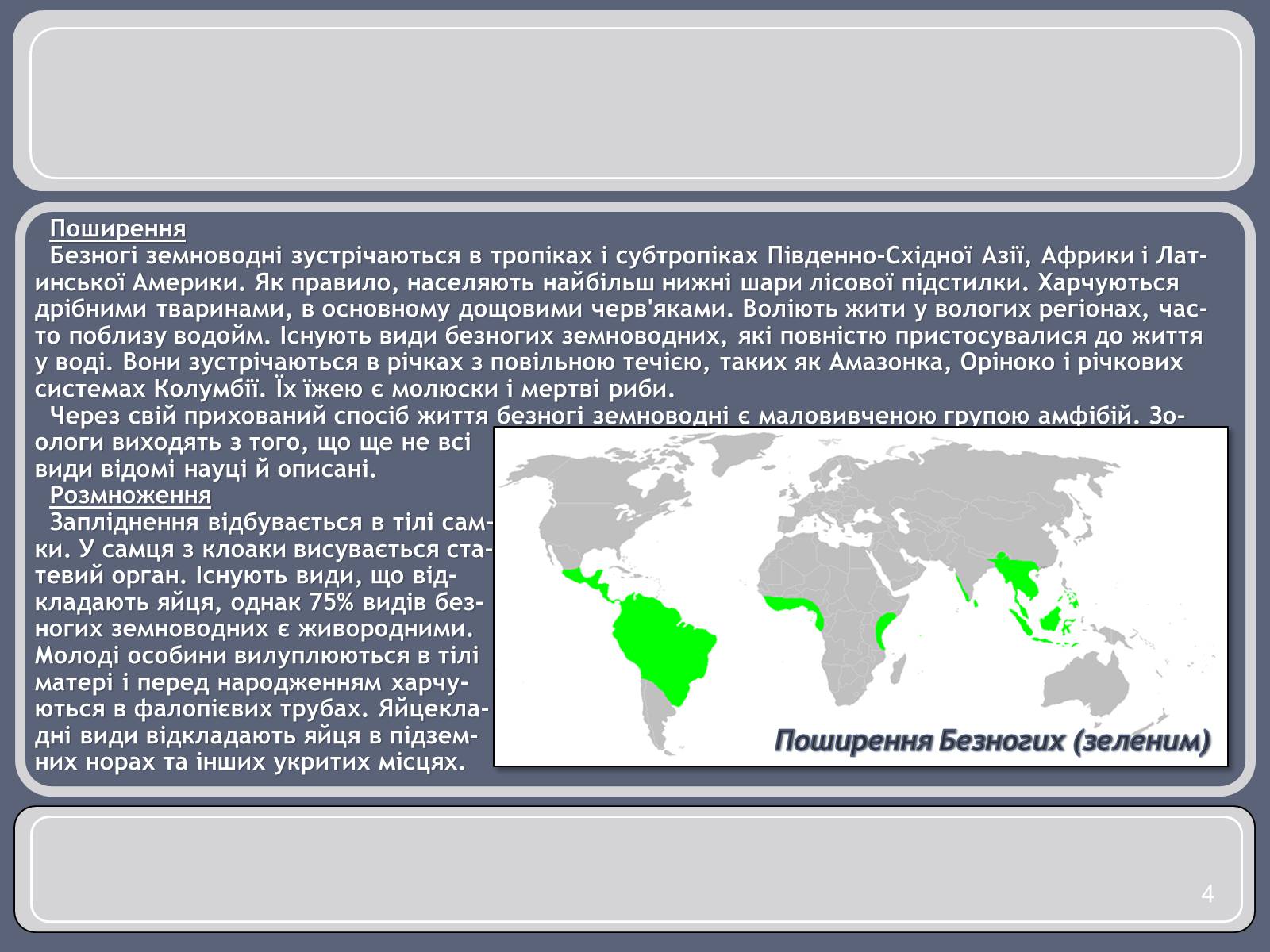 Презентація на тему «Різноманітність земноводних» (варіант 1) - Слайд #4 Презентація на тему «Різноманітність земноводних» (варіант 1) - Слайд #4