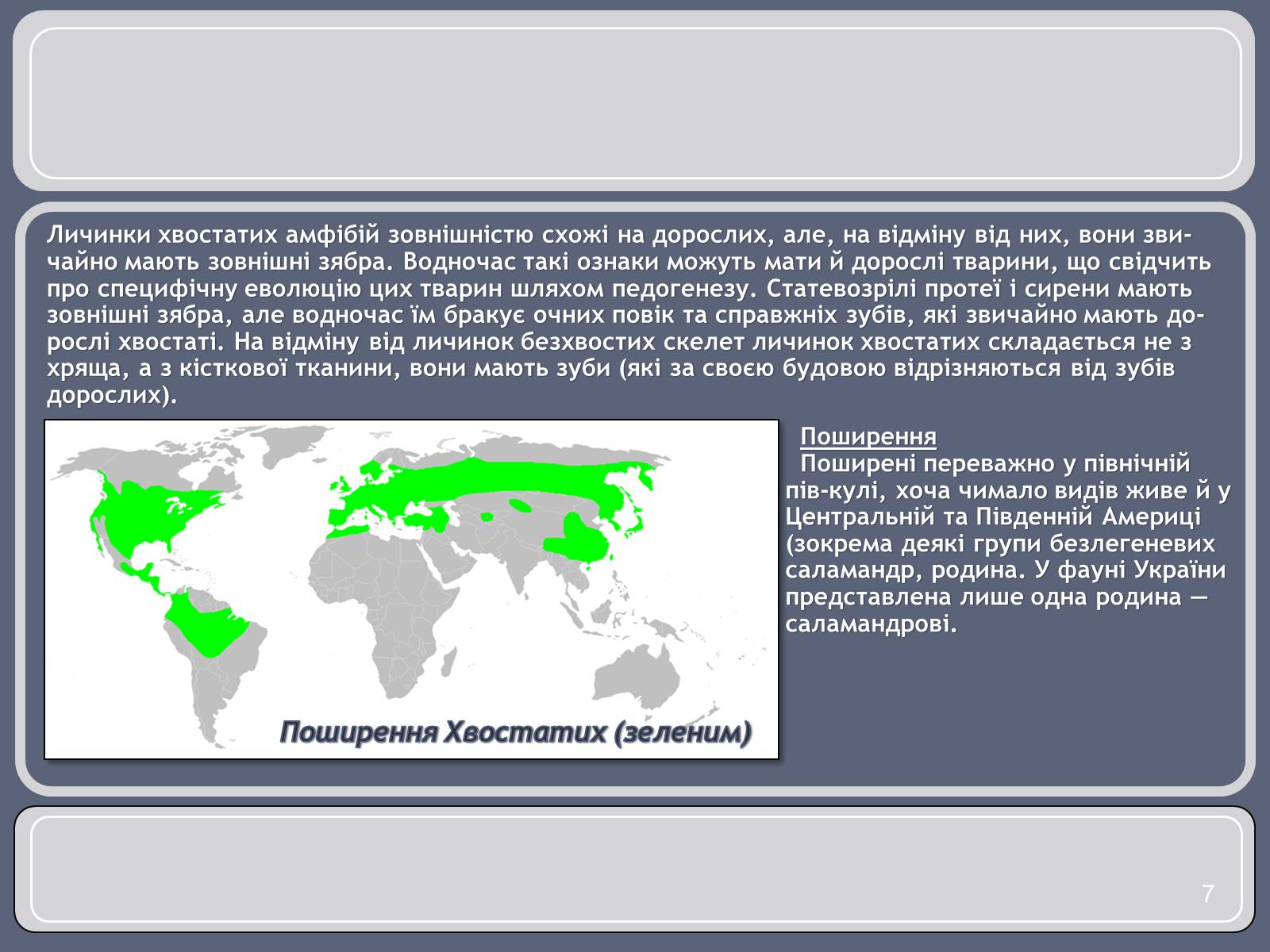 Презентація на тему «Різноманітність земноводних» (варіант 1) - Слайд #7 Презентація на тему «Різноманітність земноводних» (варіант 1) - Слайд #7