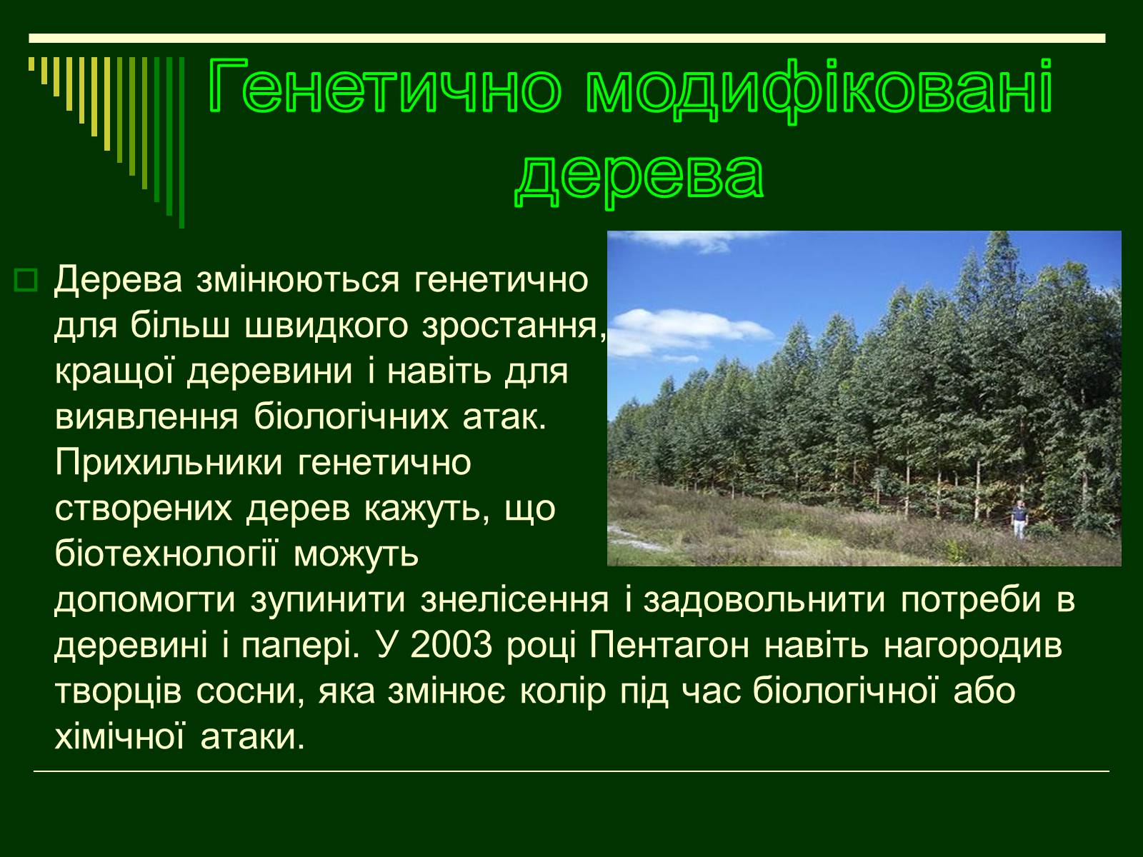 Презентація на тему «Трансгенні організми» (варіант 1) - Слайд #17 Презентація на тему «Трансгенні організми» (варіант 1) - Слайд #17