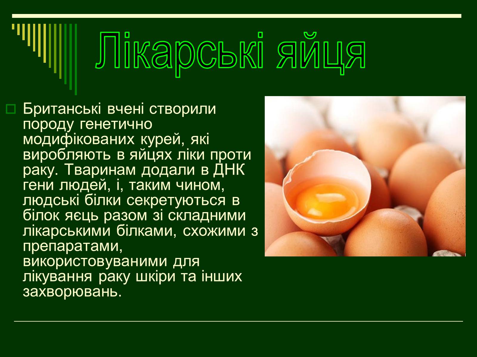 Презентація на тему «Трансгенні організми» (варіант 1) - Слайд #18 Презентація на тему «Трансгенні організми» (варіант 1) - Слайд #18