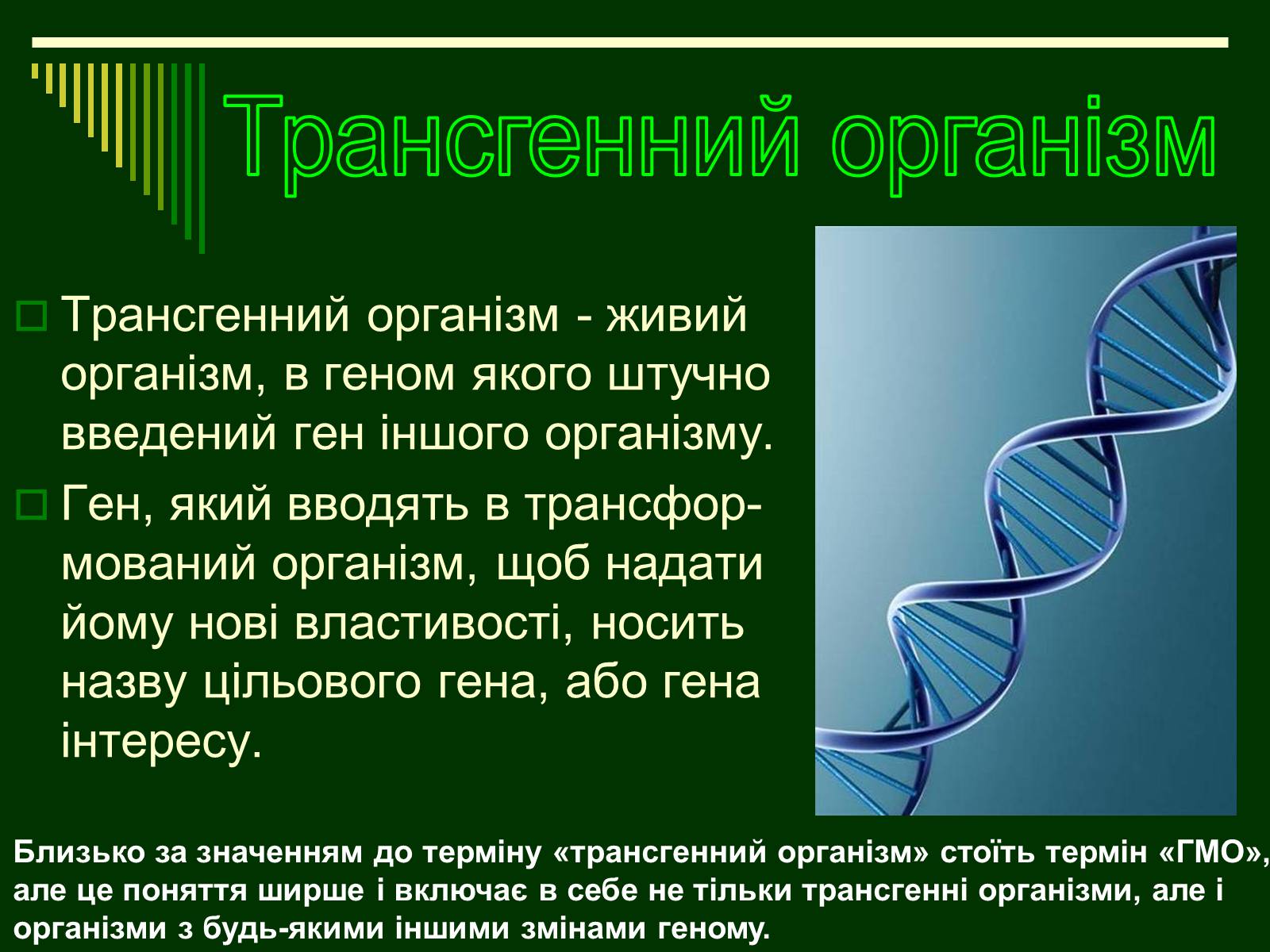 Презентація на тему «Трансгенні організми» (варіант 1) - Слайд #2 Презентація на тему «Трансгенні організми» (варіант 1) - Слайд #2