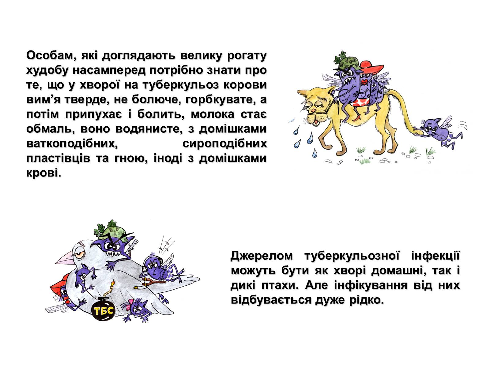 Презентація на тему «Туберкульоз» (варіант 2) - Слайд #8 Презентація на тему «Туберкульоз» (варіант 2) - Слайд #8