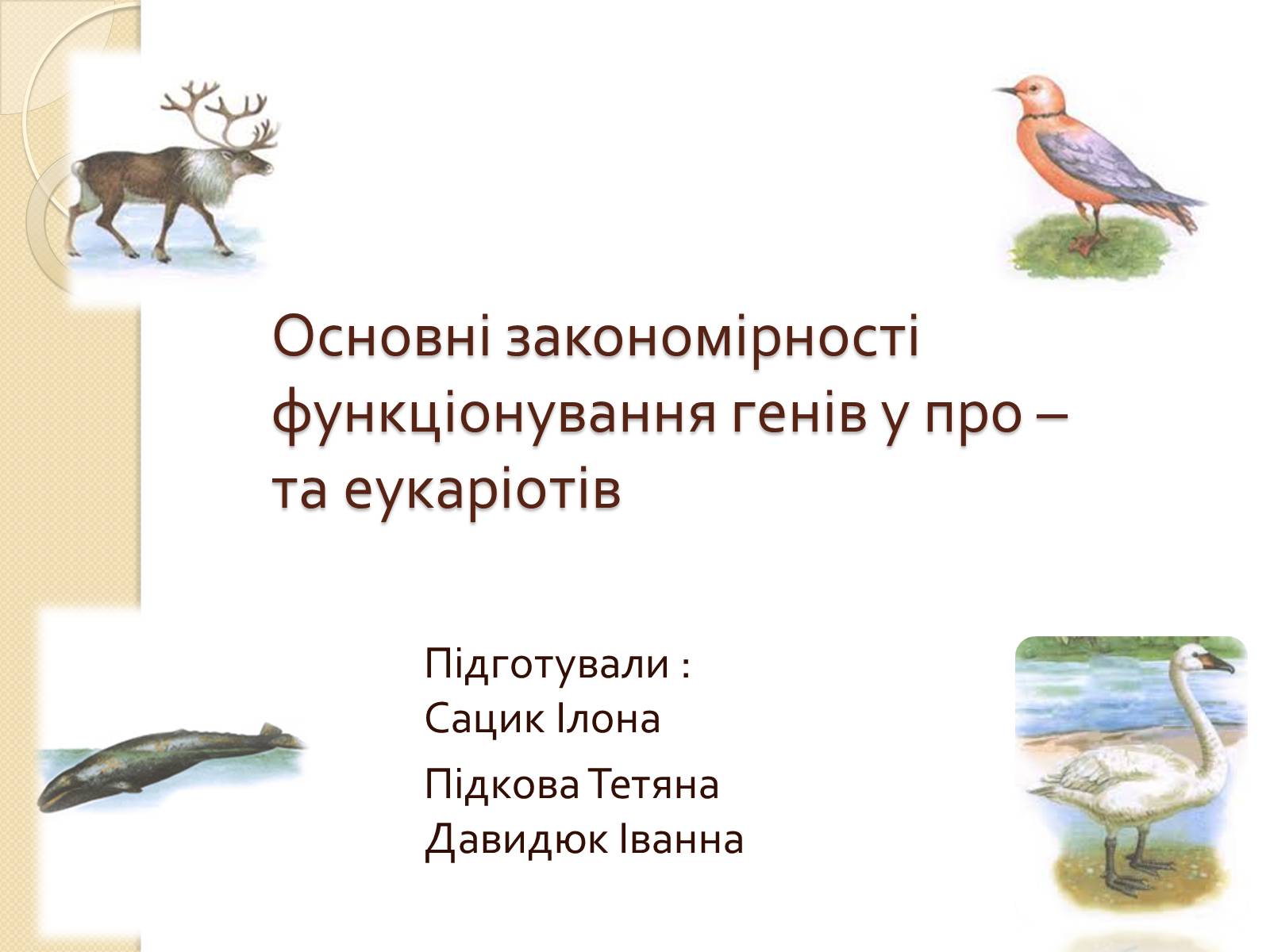 Презентація на тему «Основні закономірності функціонування генів у про – та еукаріотів» (варіант 1) - Слайд #1 Презентація на тему «Основні закономірності функціонування генів у про – та еукаріотів» (варіант 1) - Слайд #1
