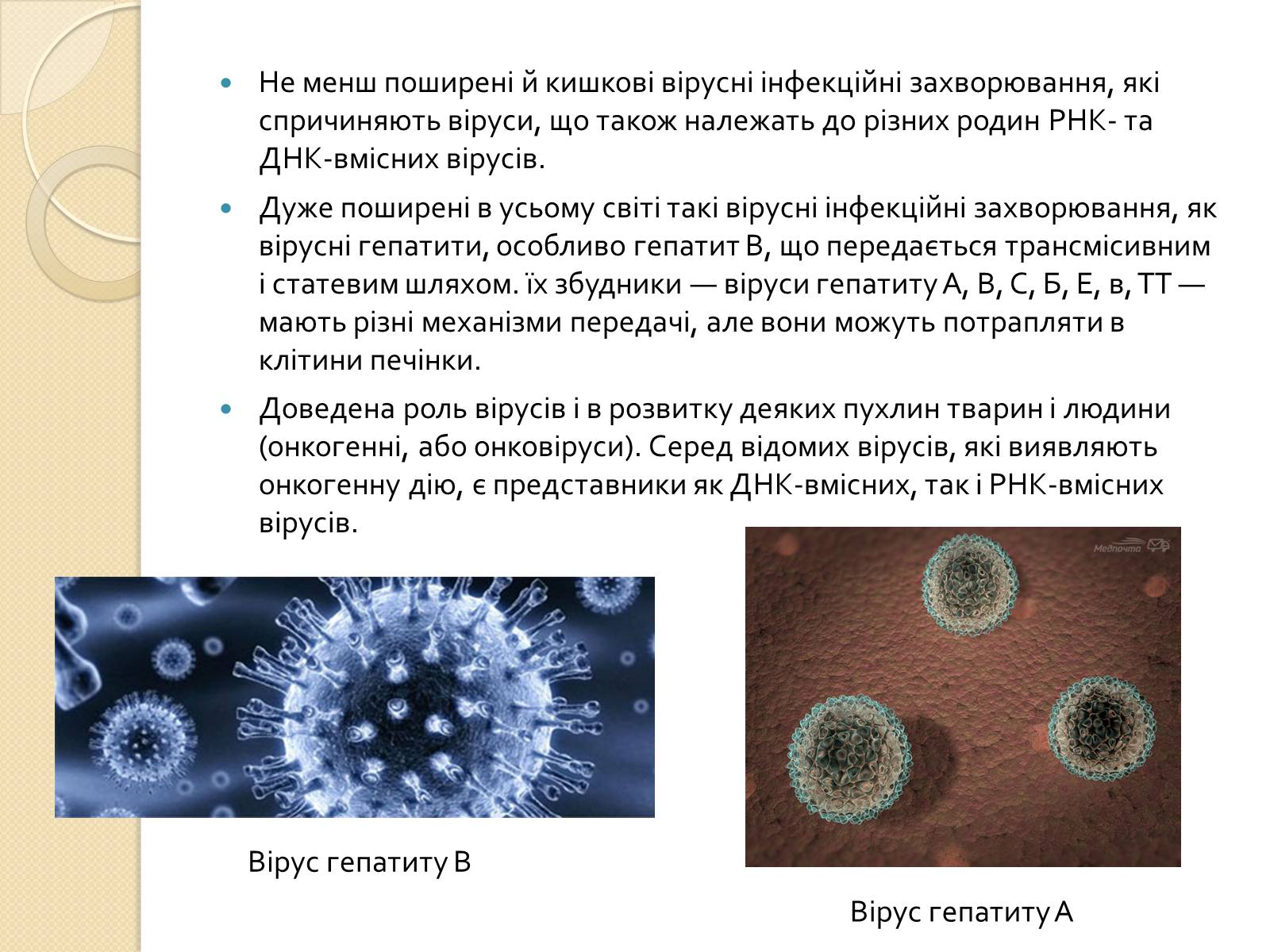 Презентація на тему «Віруси» (варіант 21) - Слайд #12 Презентація на тему «Віруси» (варіант 21) - Слайд #12