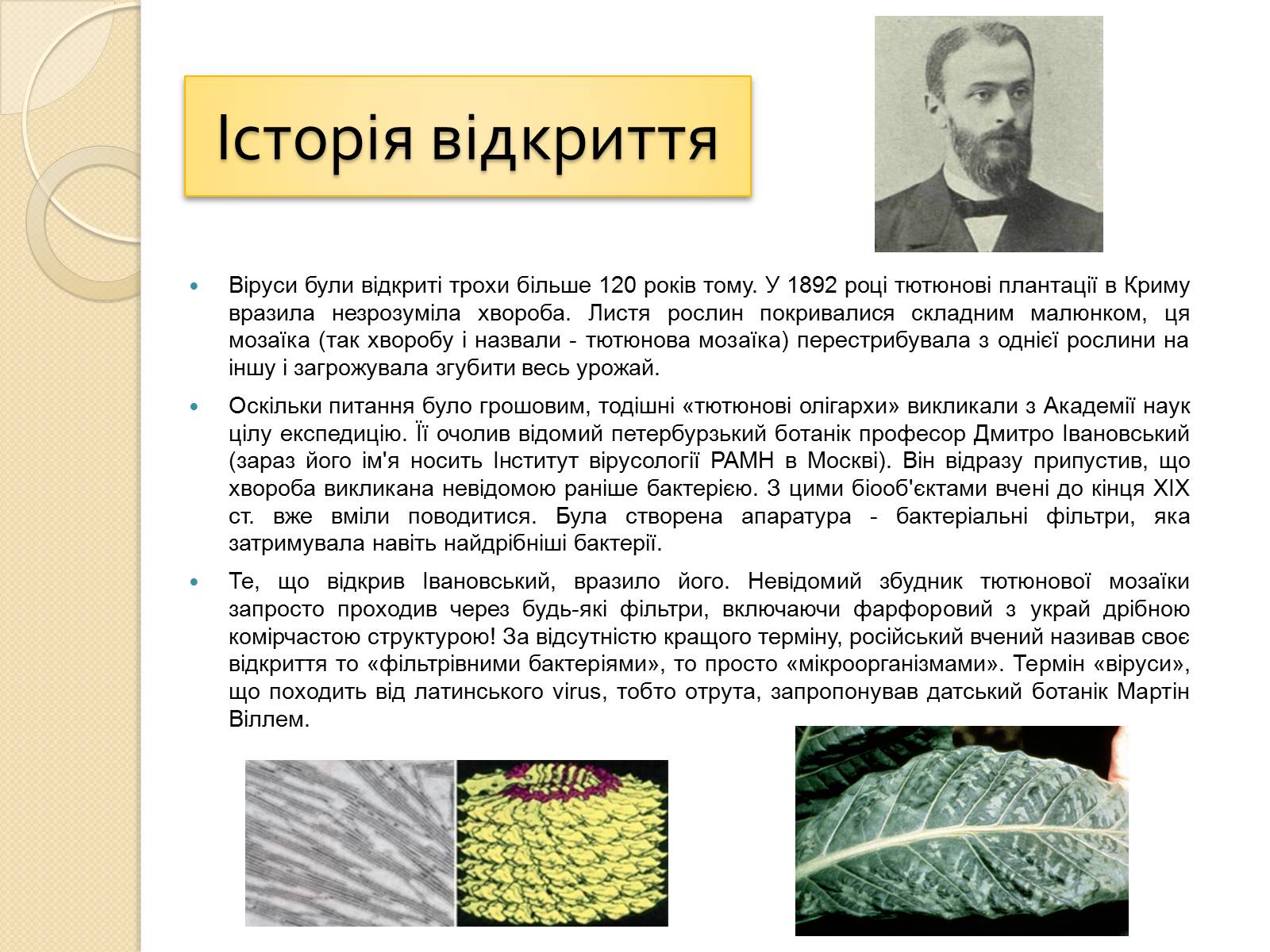 Презентація на тему «Віруси» (варіант 21) - Слайд #2 Презентація на тему «Віруси» (варіант 21) - Слайд #2