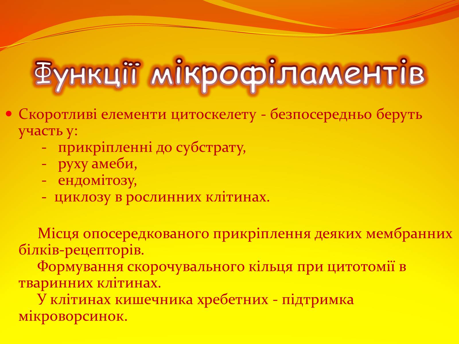 Презентація на тему «Немембранні органели» - Слайд #11 Презентація на тему «Немембранні органели» - Слайд #11