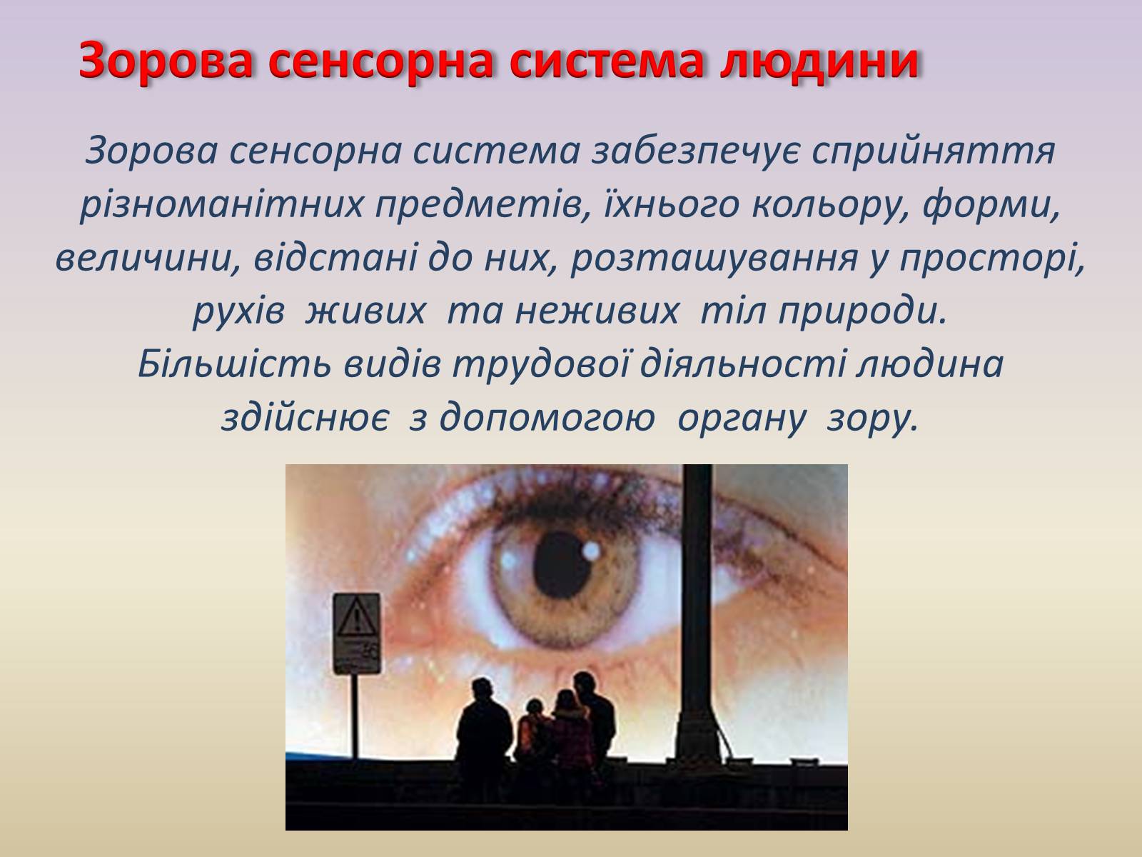 Презентація на тему «Сенсорна система ока» - Слайд #2 Презентація на тему «Сенсорна система ока» - Слайд #2
