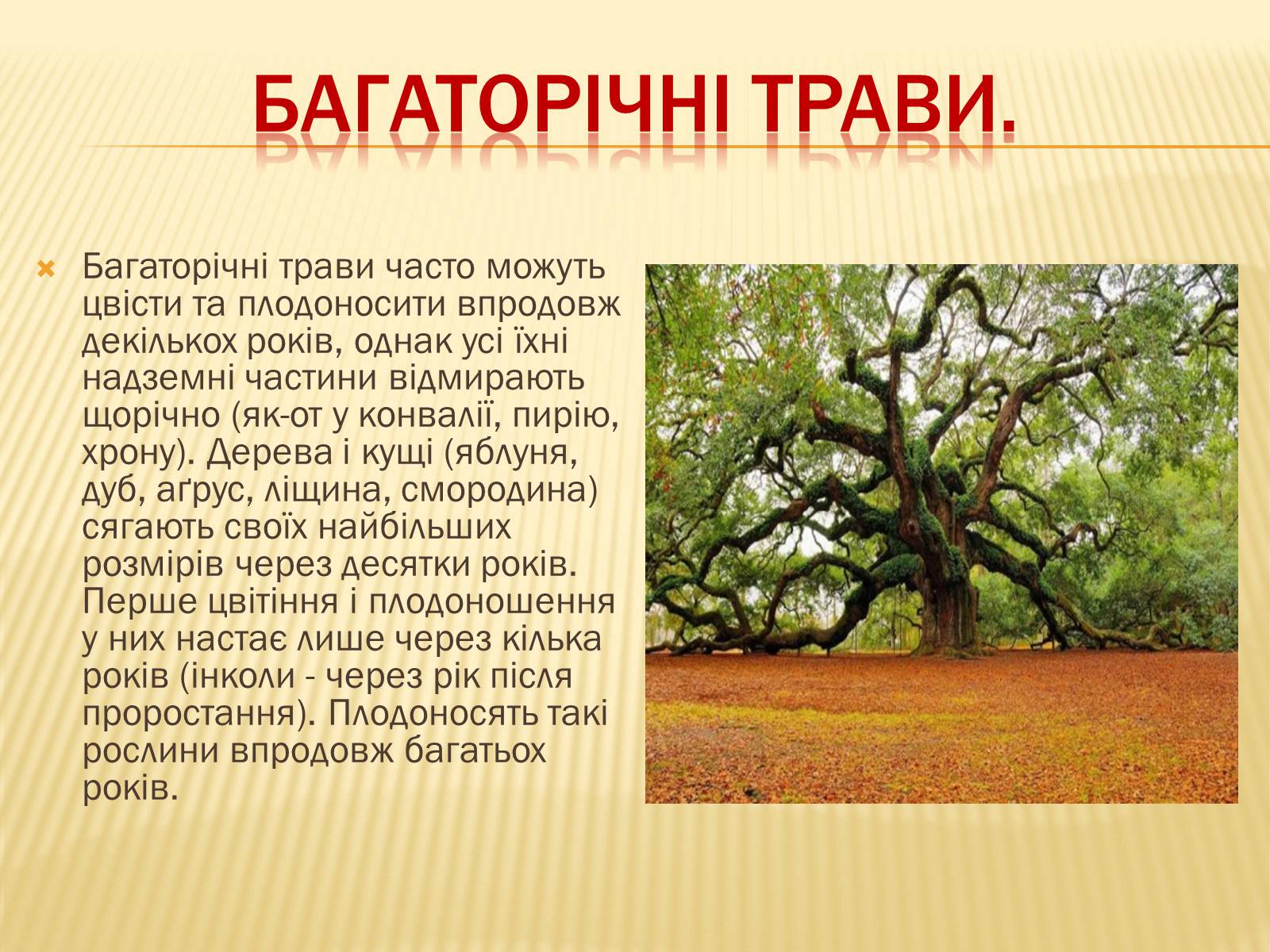 Презентація на тему «Життєвий цикл рослин» (варіант 1) - Слайд #10 Презентація на тему «Життєвий цикл рослин» (варіант 1) - Слайд #10