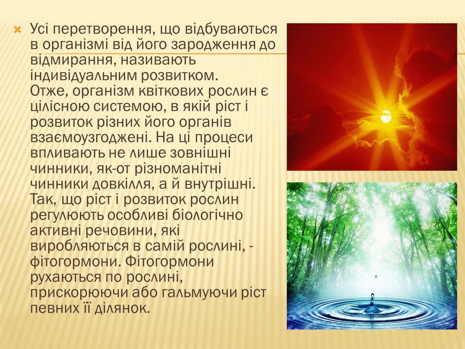 Презентація на тему «Життєвий цикл рослин» (варіант 1) - Слайд #12 Презентація на тему «Життєвий цикл рослин» (варіант 1) - Слайд #12