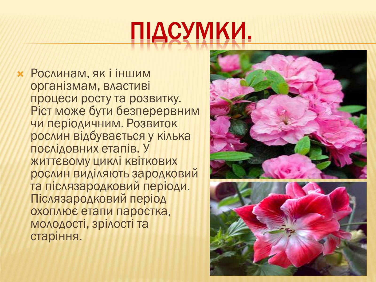 Презентація на тему «Життєвий цикл рослин» (варіант 1) - Слайд #13 Презентація на тему «Життєвий цикл рослин» (варіант 1) - Слайд #13