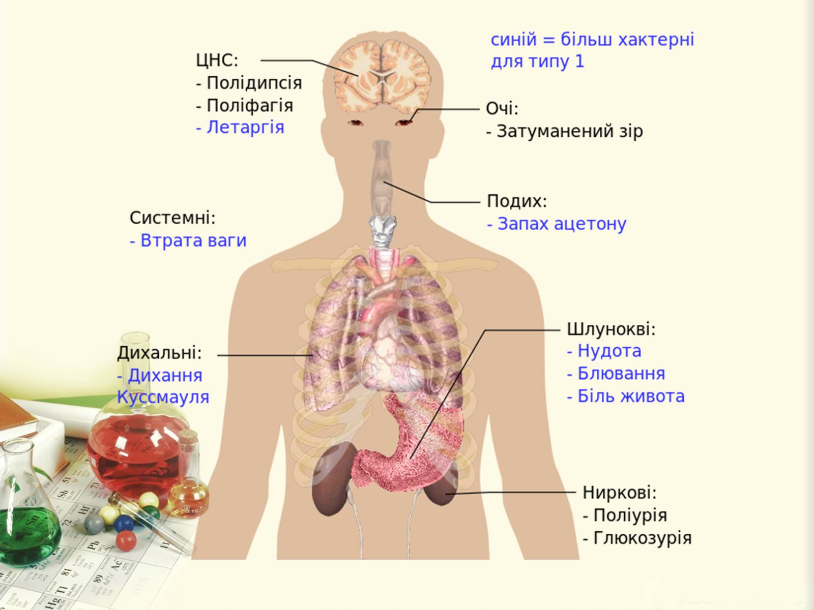 Презентація на тему «Цукровий діабет. Інсулін» - Слайд #5 Презентація на тему «Цукровий діабет. Інсулін» - Слайд #5