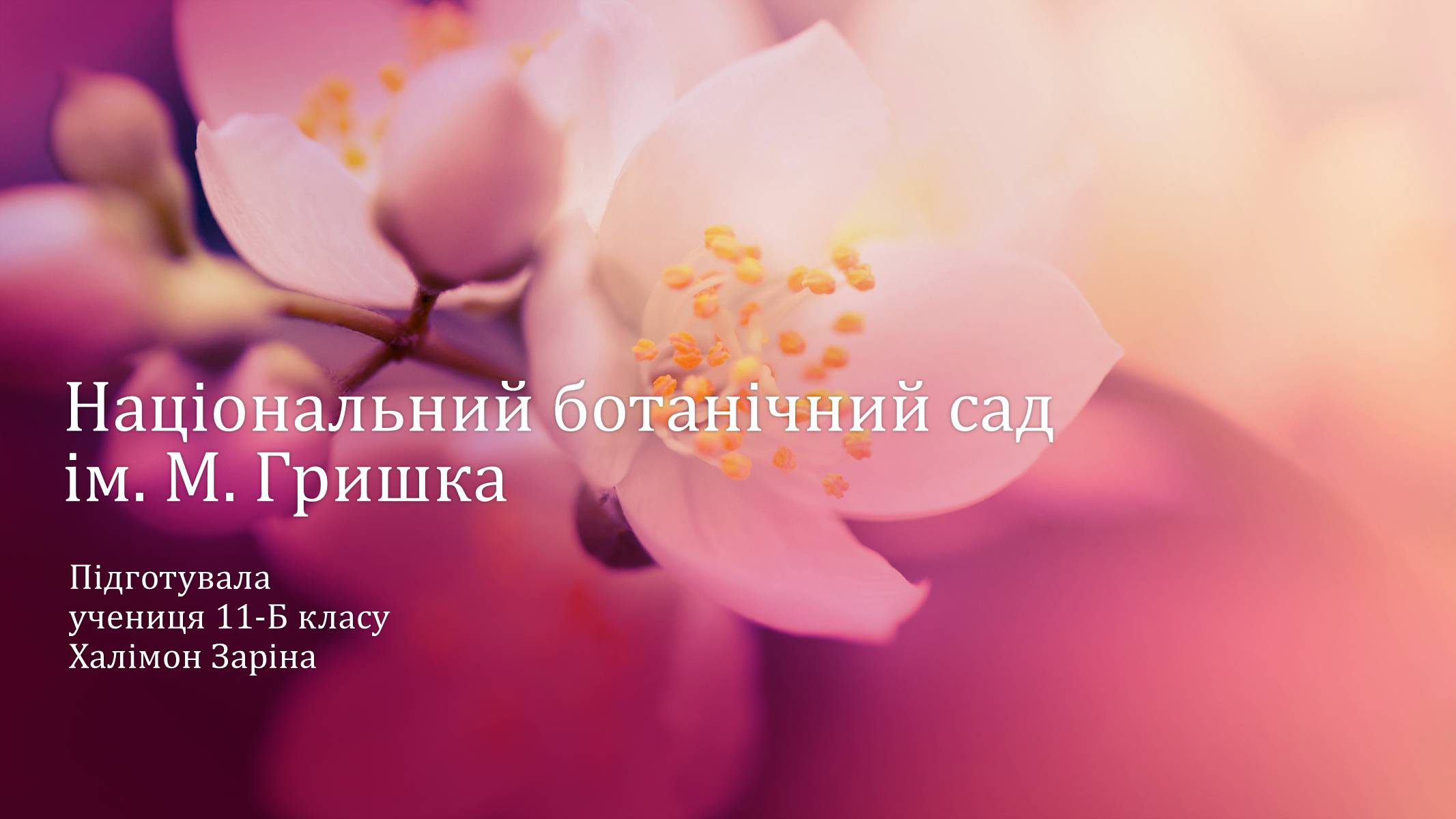 Презентація на тему «Національний ботанічний сад ім. М. Гришка» - Слайд #1 Презентація на тему «Національний ботанічний сад ім. М. Гришка» - Слайд #1