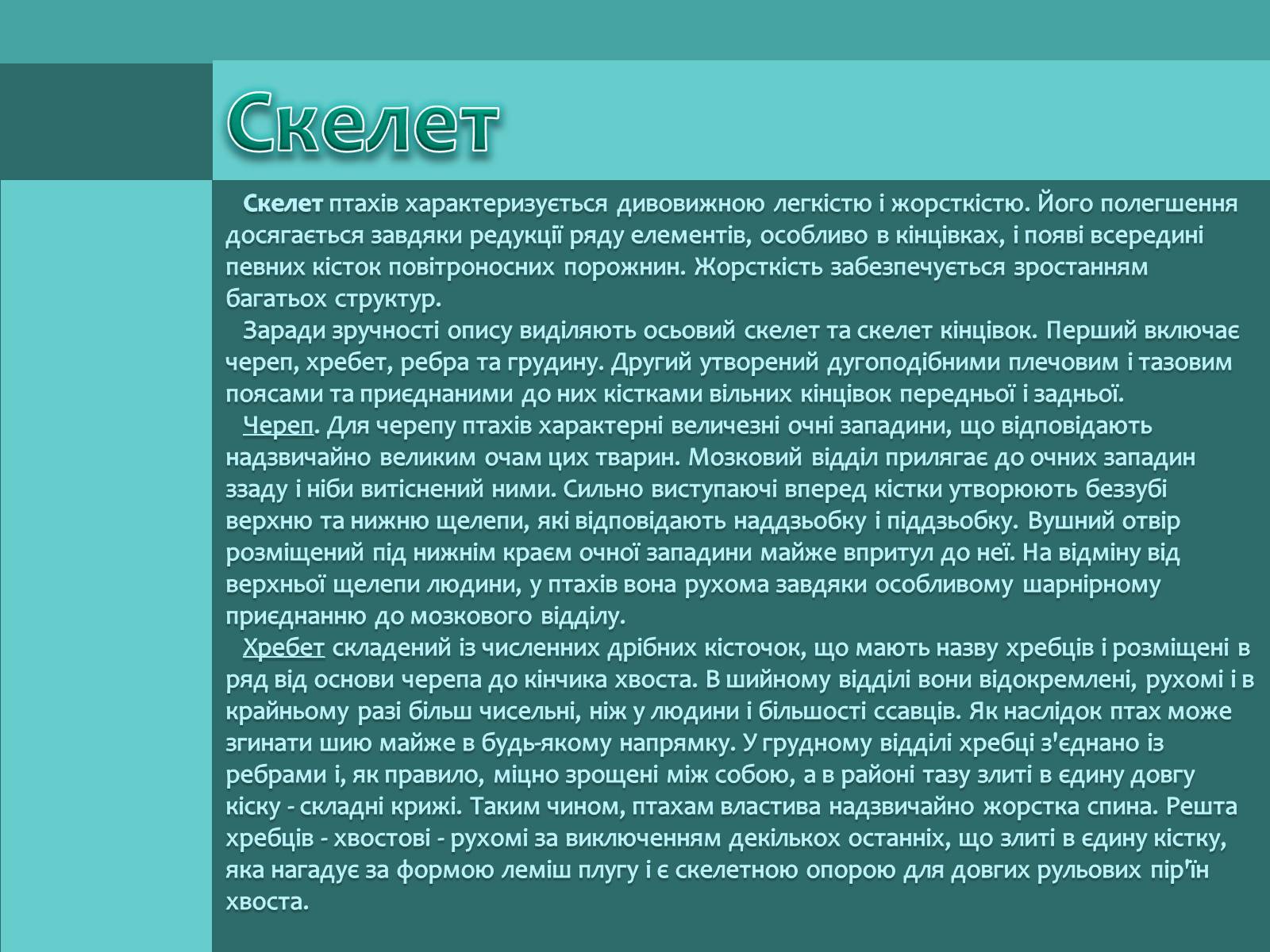 Презентація на тему «Внутрішня будова птахів» (варіант 1) - Слайд #3 Презентація на тему «Внутрішня будова птахів» (варіант 1) - Слайд #3
