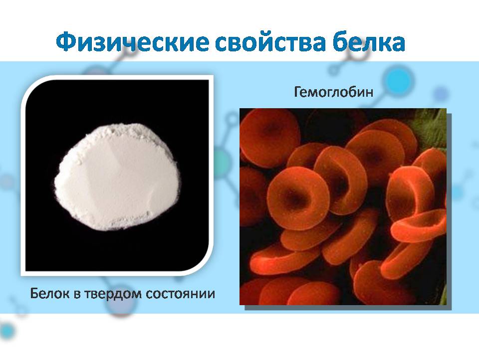Презентація на тему «Белки» (варіант 4) - Слайд #12 Презентація на тему «Белки» (варіант 4) - Слайд #12