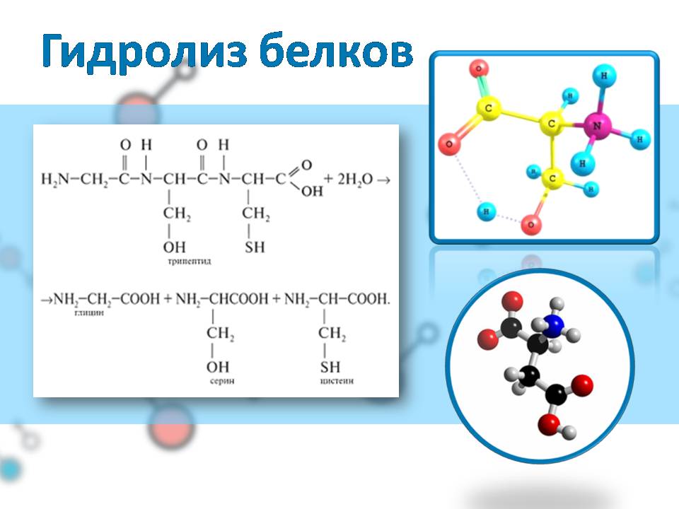 Презентація на тему «Белки» (варіант 4) - Слайд #16 Презентація на тему «Белки» (варіант 4) - Слайд #16