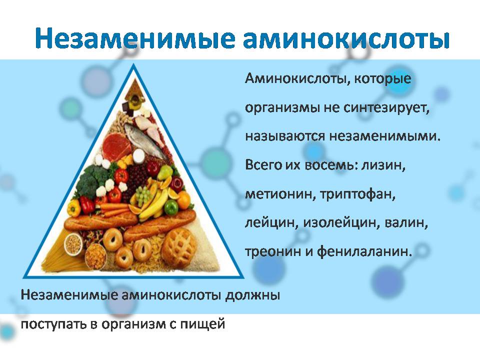 Презентація на тему «Белки» (варіант 4) - Слайд #27 Презентація на тему «Белки» (варіант 4) - Слайд #27