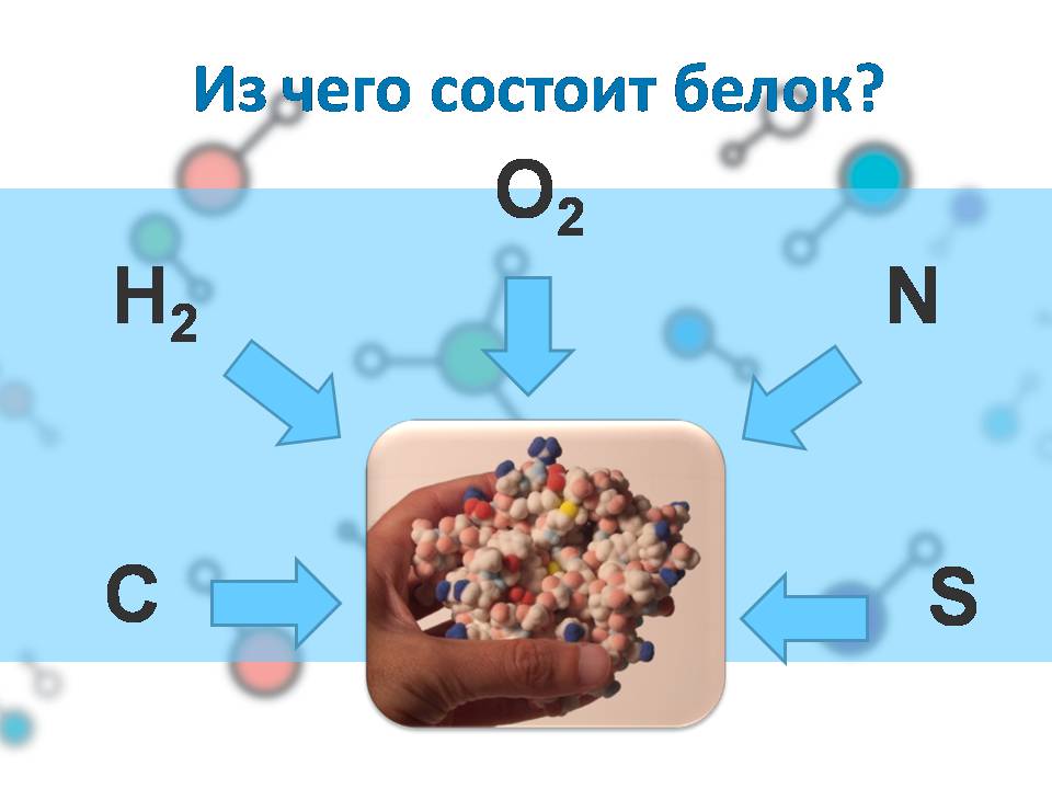Презентація на тему «Белки» (варіант 4) - Слайд #4 Презентація на тему «Белки» (варіант 4) - Слайд #4
