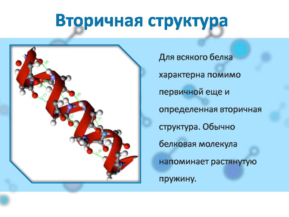Презентація на тему «Белки» (варіант 4) - Слайд #8 Презентація на тему «Белки» (варіант 4) - Слайд #8