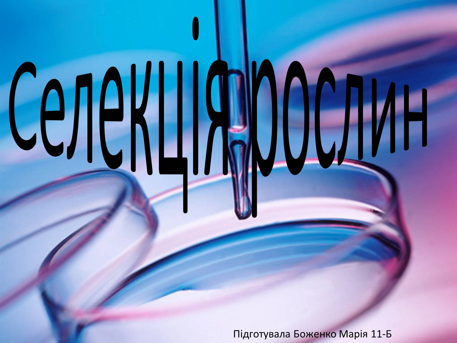 Презентація на тему «Селекція рослин» - Слайд #1 Презентація на тему «Селекція рослин» - Слайд #1