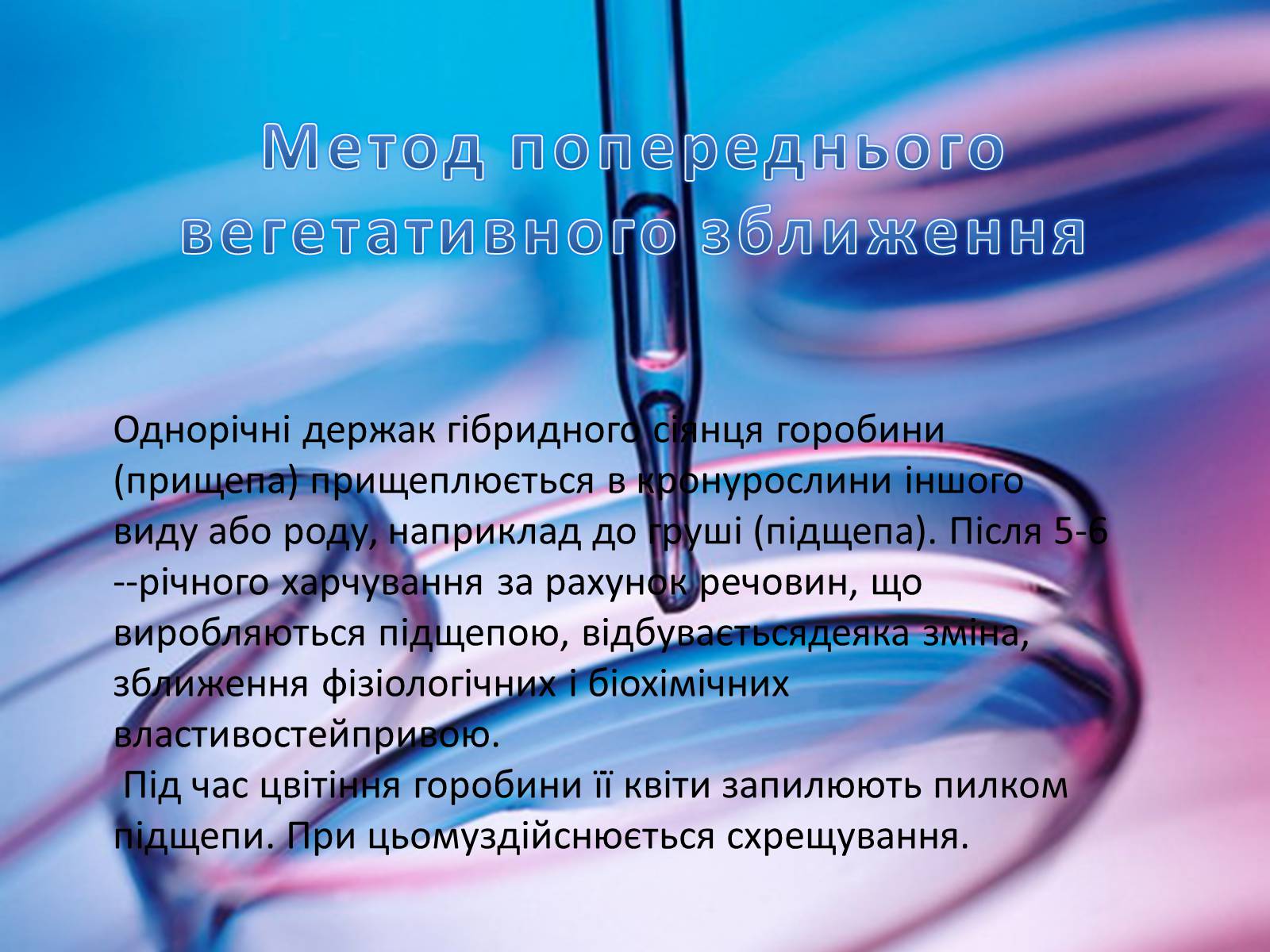Презентація на тему «Селекція рослин» - Слайд #7 Презентація на тему «Селекція рослин» - Слайд #7