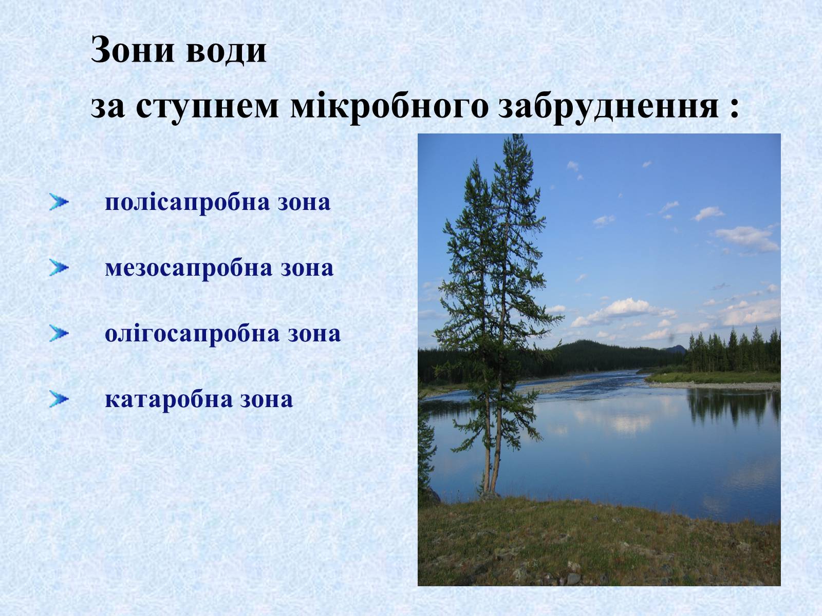 Презентація на тему «Нормальна мікрофлора людини» - Слайд #12 Презентація на тему «Нормальна мікрофлора людини» - Слайд #12