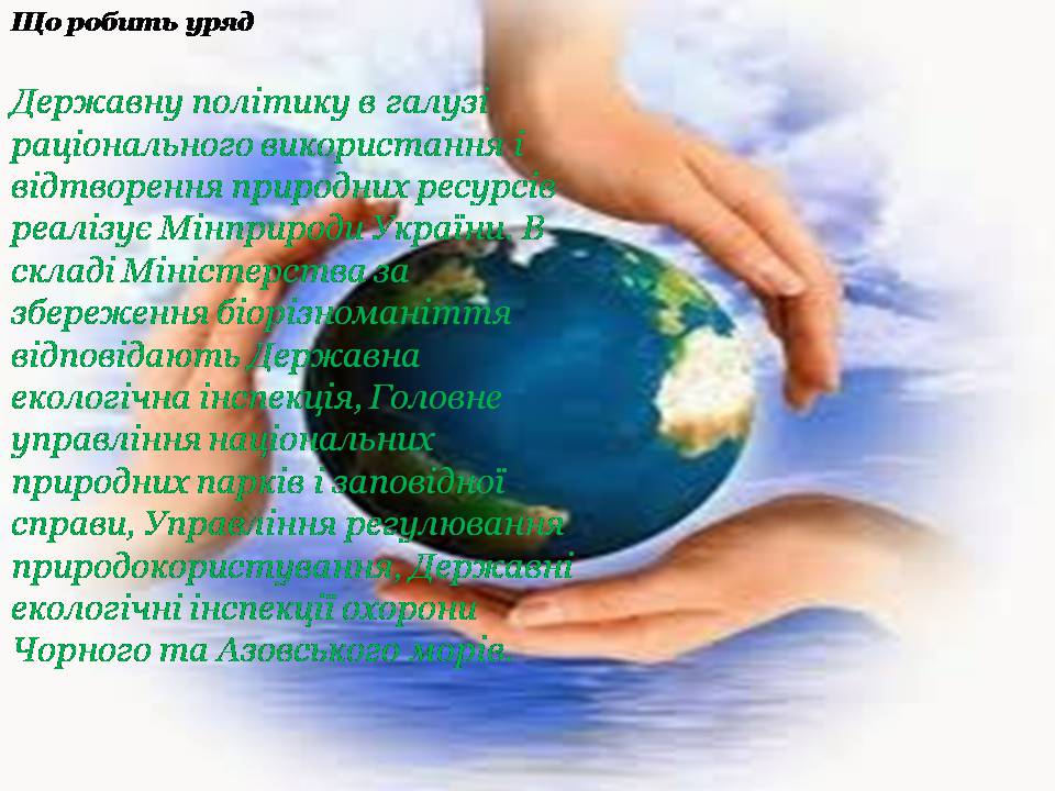 Презентація на тему «Збереження біологічного різноманіття» (варіант 2) - Слайд #4 Презентація на тему «Збереження біологічного різноманіття» (варіант 2) - Слайд #4