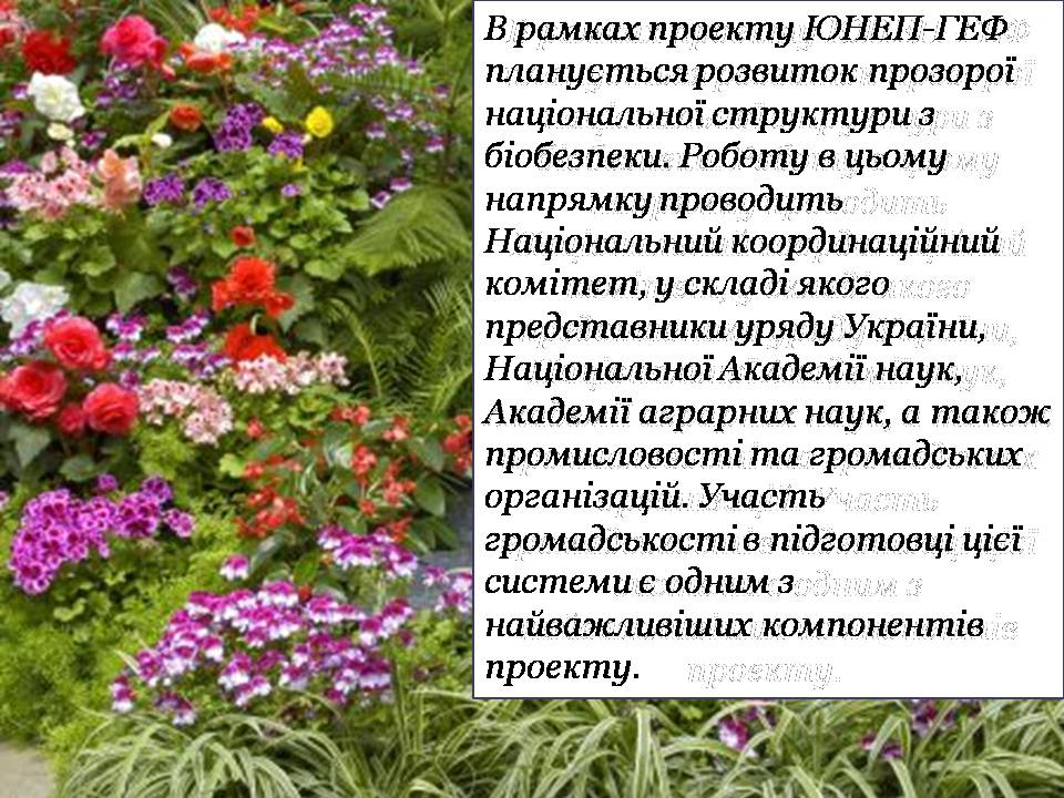 Презентація на тему «Збереження біологічного різноманіття» (варіант 2) - Слайд #6 Презентація на тему «Збереження біологічного різноманіття» (варіант 2) - Слайд #6