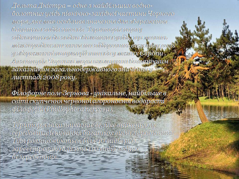 Презентація на тему «Збереження біологічного різноманіття» (варіант 2) - Слайд #8 Презентація на тему «Збереження біологічного різноманіття» (варіант 2) - Слайд #8