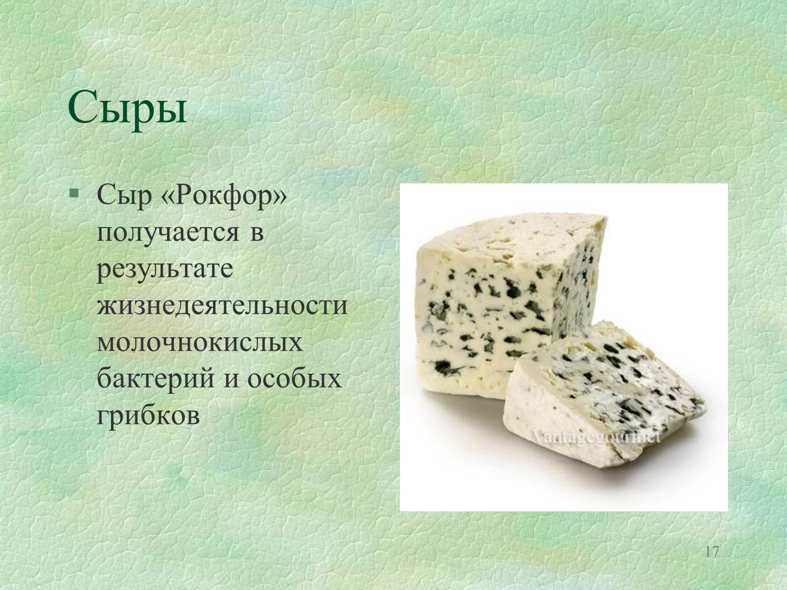 Презентація на тему «Значение бактерий в природе и жизни человека» - Слайд #17 Презентація на тему «Значение бактерий в природе и жизни человека» - Слайд #17