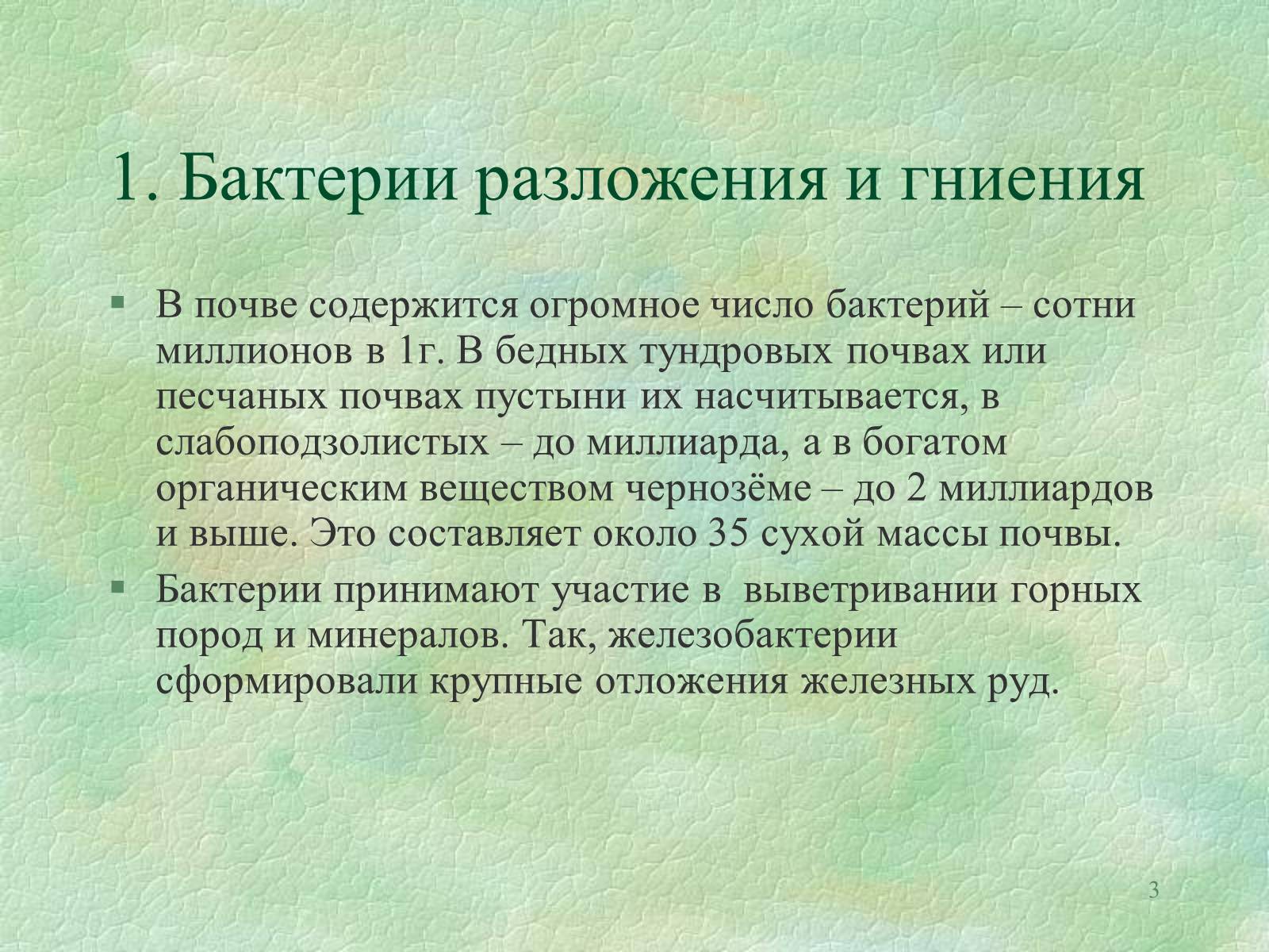 Презентація на тему «Значение бактерий в природе и жизни человека» - Слайд #3 Презентація на тему «Значение бактерий в природе и жизни человека» - Слайд #3