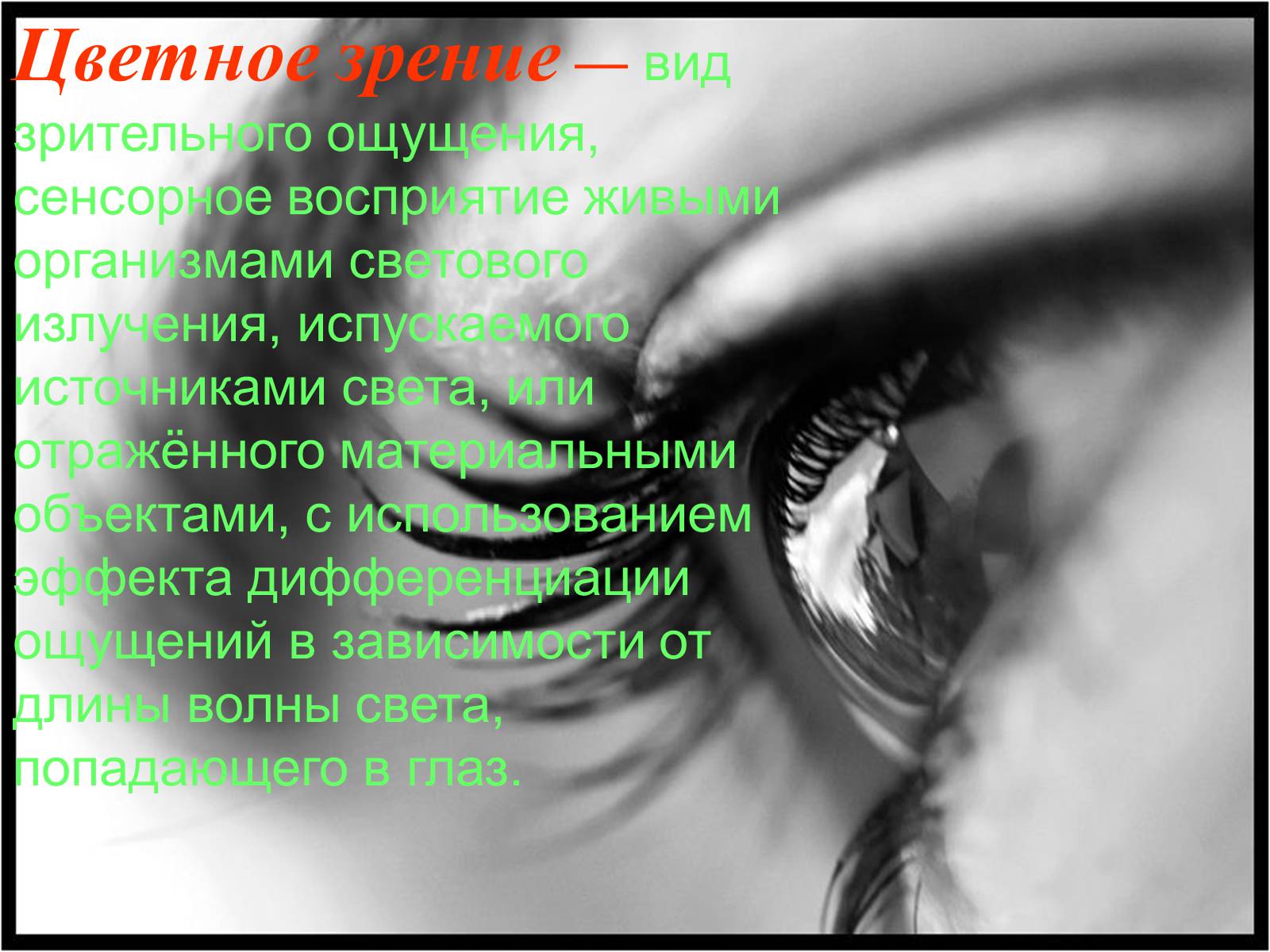 Презентація на тему «Теория цветного зрения» - Слайд #2 Презентація на тему «Теория цветного зрения» - Слайд #2