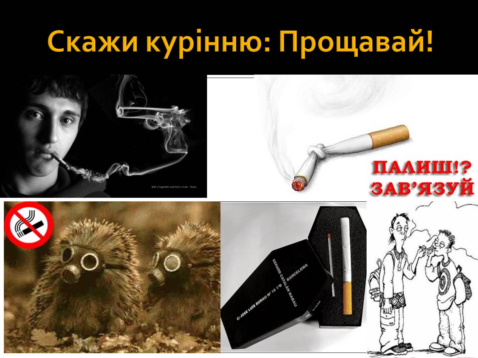 Презентація на тему «Куріння» (варіант 4) - Слайд #14 Презентація на тему «Куріння» (варіант 4) - Слайд #14