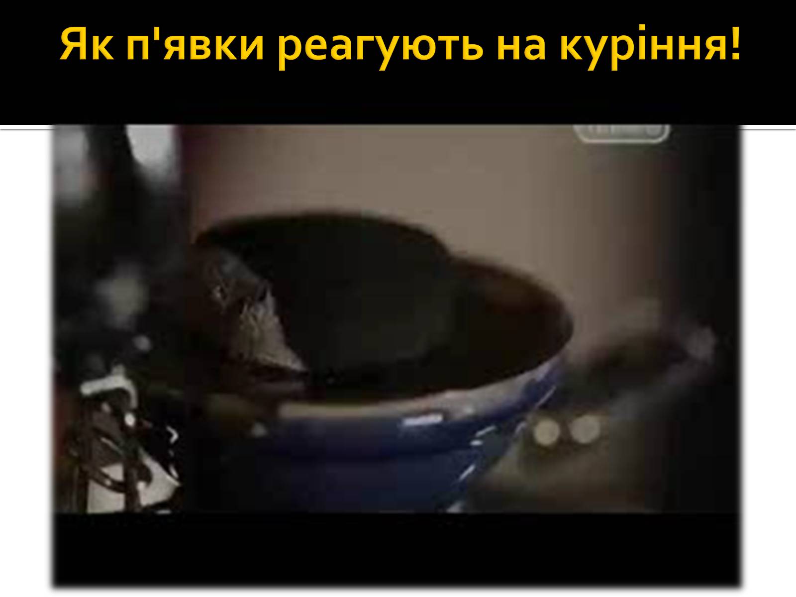Презентація на тему «Куріння» (варіант 4) - Слайд #16 Презентація на тему «Куріння» (варіант 4) - Слайд #16