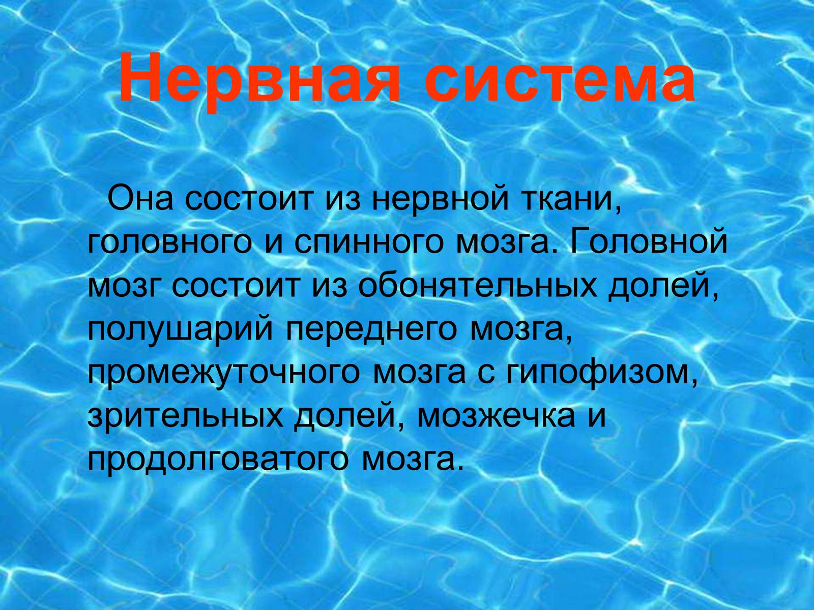 Презентація на тему «Аквариумные рыбки» - Слайд #10 Презентація на тему «Аквариумные рыбки» - Слайд #10