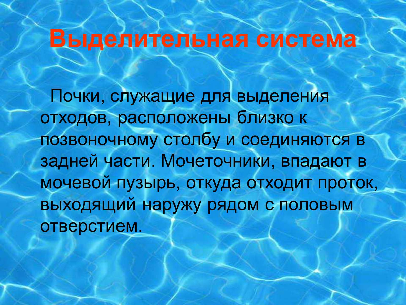 Презентація на тему «Аквариумные рыбки» - Слайд #11 Презентація на тему «Аквариумные рыбки» - Слайд #11