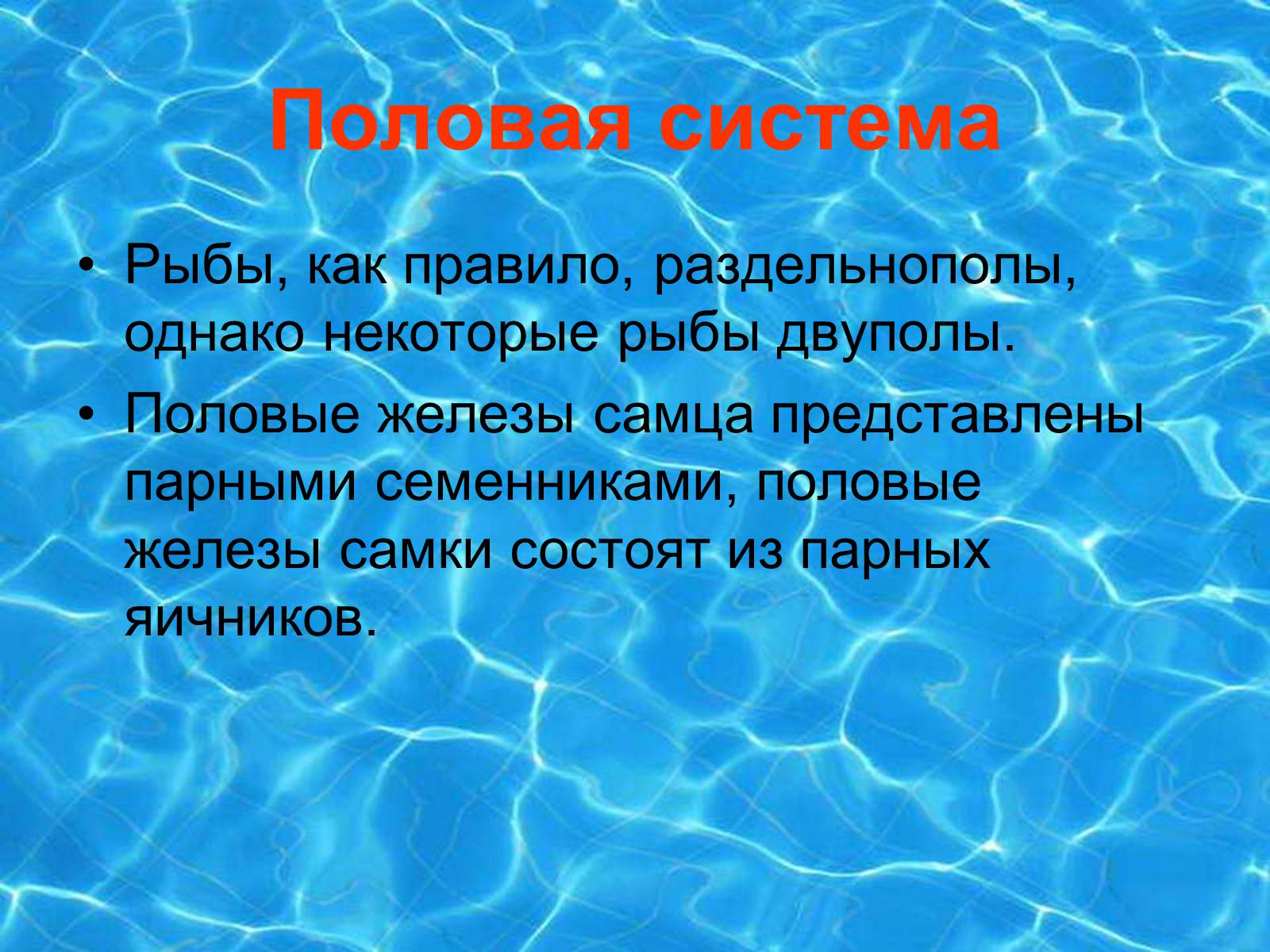 Презентація на тему «Аквариумные рыбки» - Слайд #12 Презентація на тему «Аквариумные рыбки» - Слайд #12