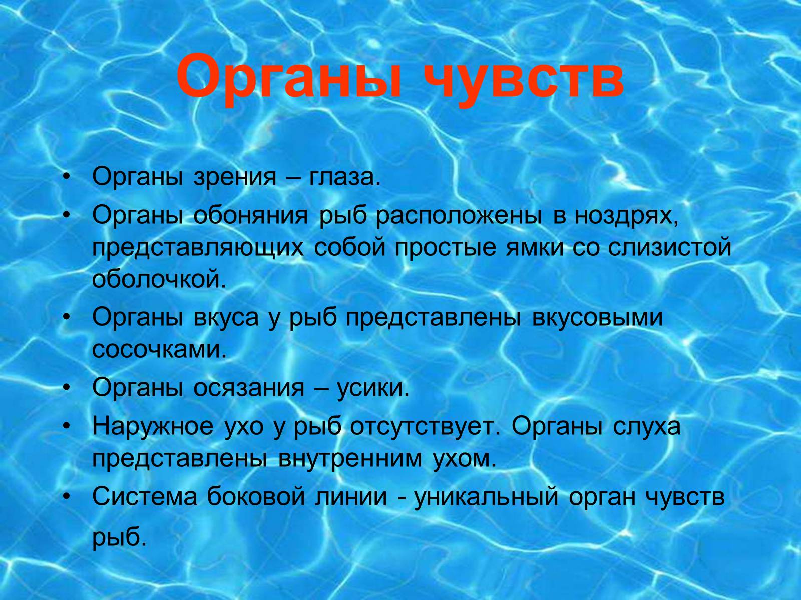 Презентація на тему «Аквариумные рыбки» - Слайд #13 Презентація на тему «Аквариумные рыбки» - Слайд #13