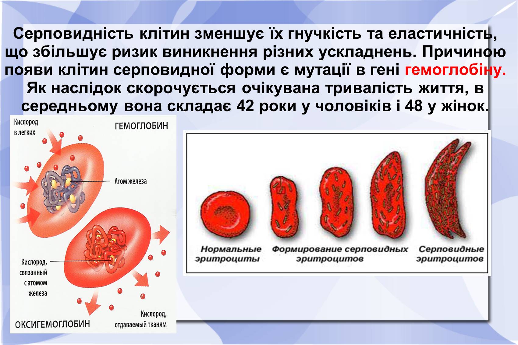 Презентація на тему «Серповидно-клітинна анемія» - Слайд #8 Презентація на тему «Серповидно-клітинна анемія» - Слайд #8