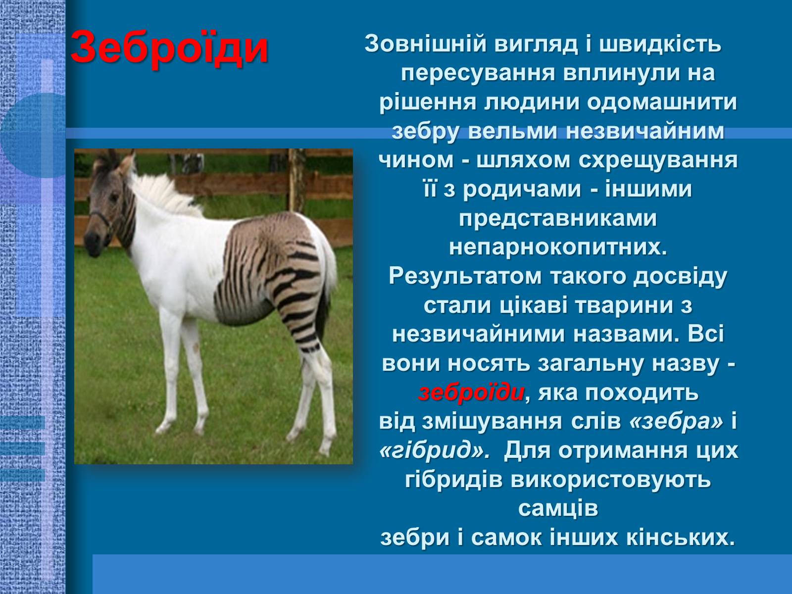 Презентація на тему «Особливості селекції рослин, тварин та мікроорганізмів» (варіант 1) - Слайд #9 Презентація на тему «Особливості селекції рослин, тварин та мікроорганізмів» (варіант 1) - Слайд #9