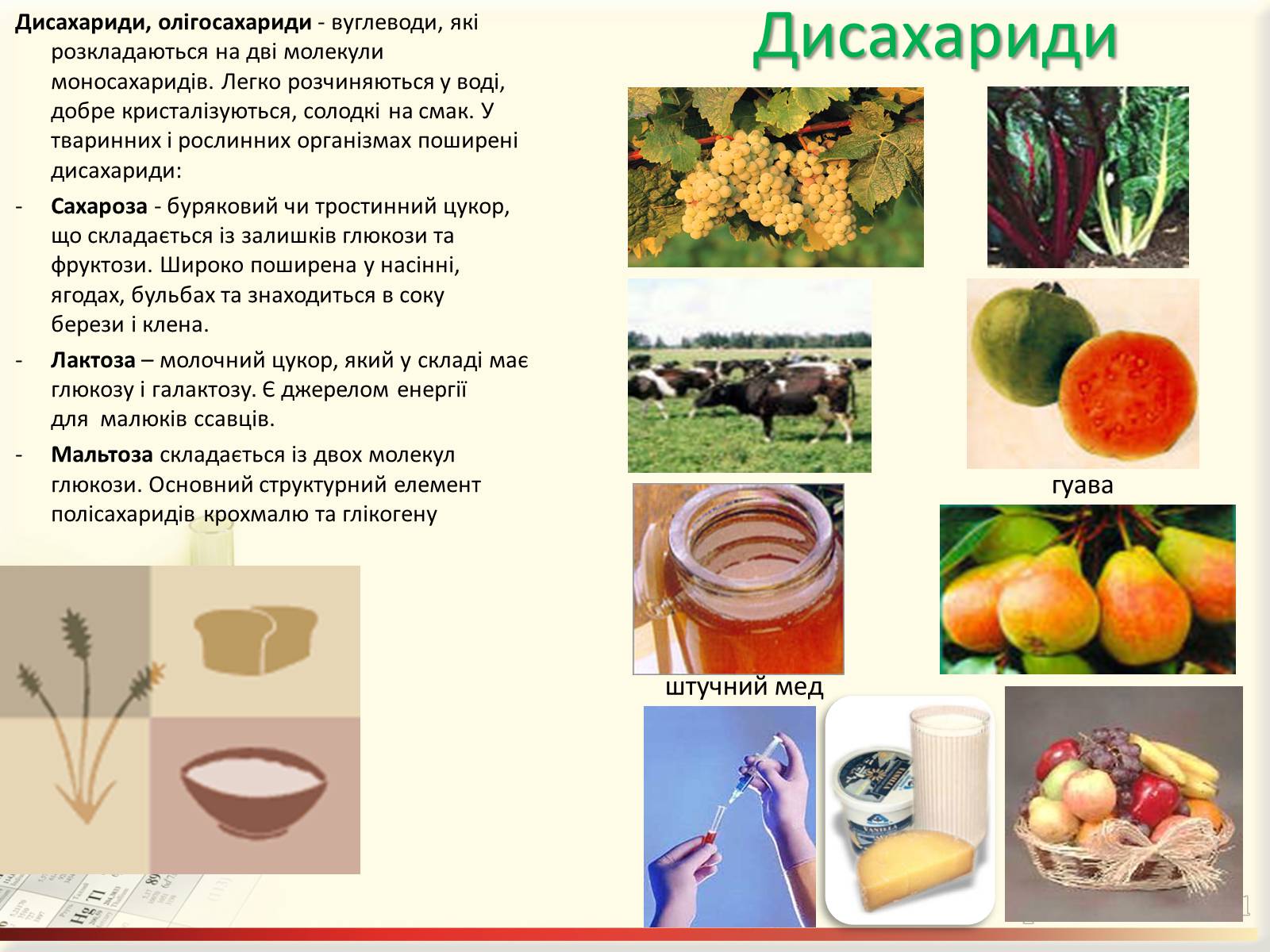 Презентація на тему «Вуглеводи як компоненти їжі, їх роль у житті людини» (варіант 27) - Слайд #14 Презентація на тему «Вуглеводи як компоненти їжі, їх роль у житті людини» (варіант 27) - Слайд #14