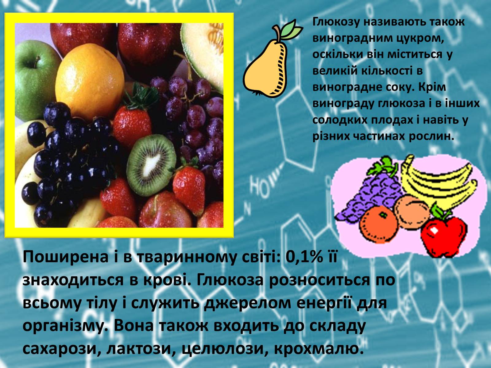 Презентація на тему «Вуглеводи як компоненти їжі, їх роль у житті людини» (варіант 27) - Слайд #9 Презентація на тему «Вуглеводи як компоненти їжі, їх роль у житті людини» (варіант 27) - Слайд #9