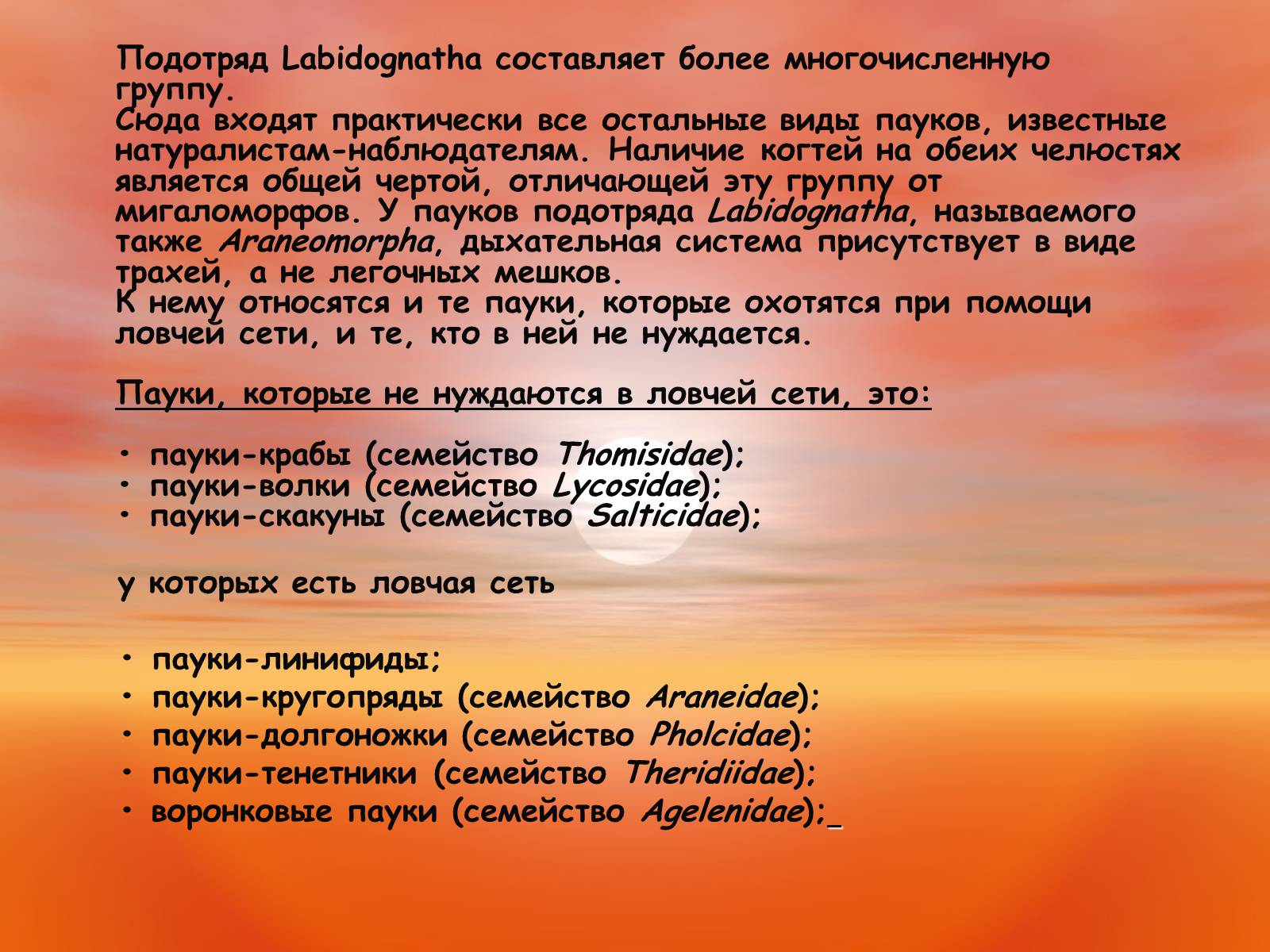 Презентація на тему «Пауки. Их строение» - Слайд #13 Презентація на тему «Пауки. Их строение» - Слайд #13