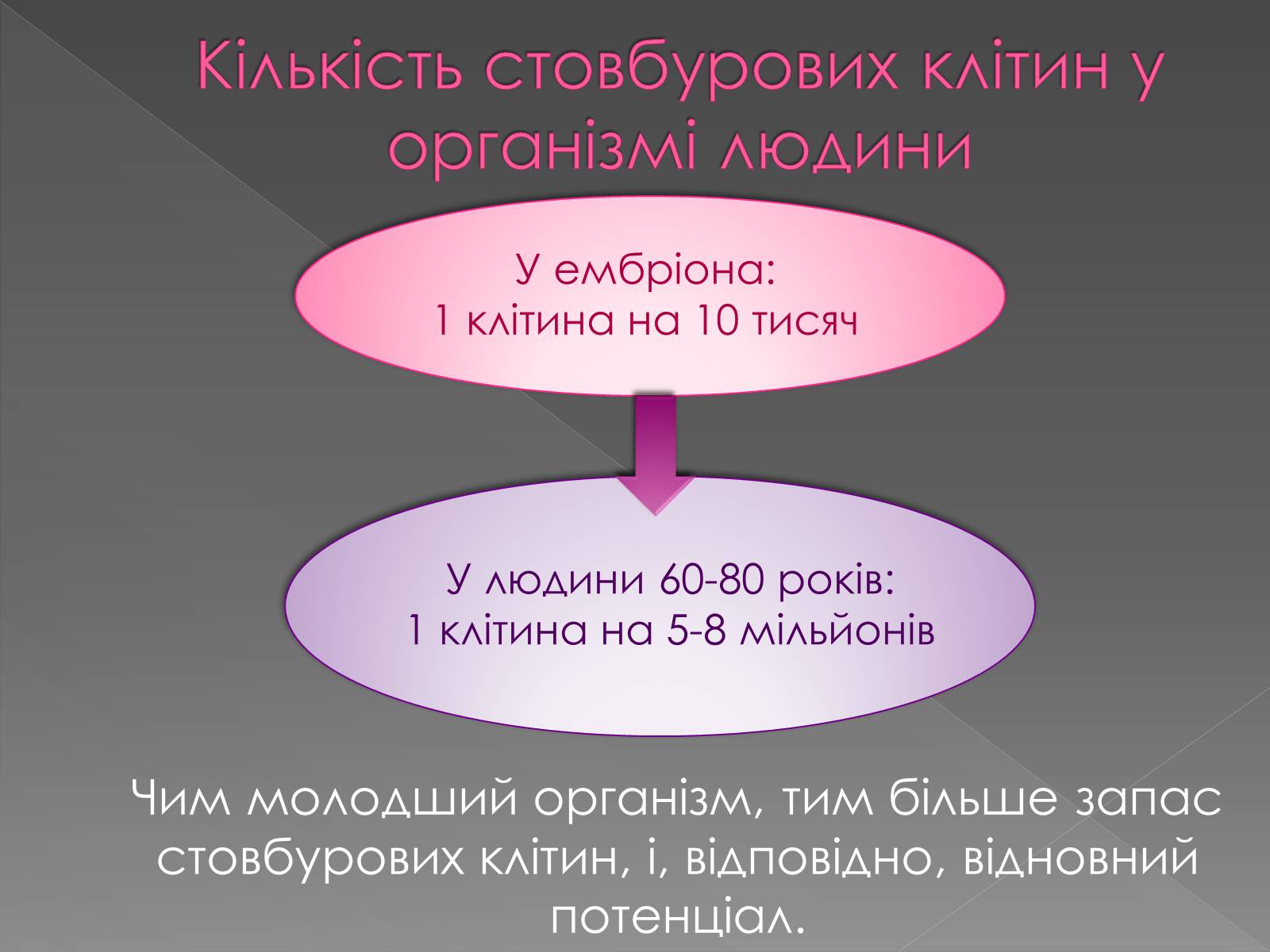 Презентація на тему «Стовбурові клітини» (варіант 4) - Слайд #4 Презентація на тему «Стовбурові клітини» (варіант 4) - Слайд #4