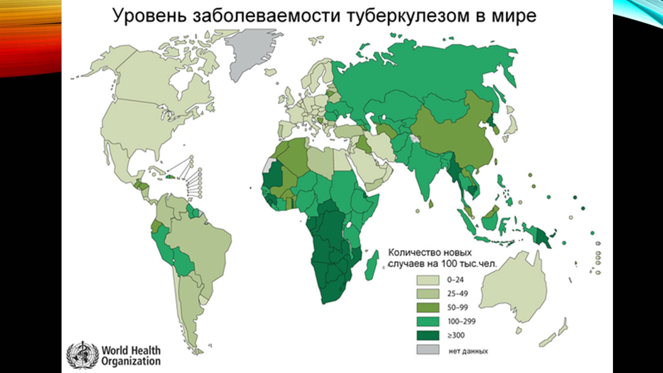 Презентація на тему «Туберкульоз» (варіант 5) - Слайд #7 Презентація на тему «Туберкульоз» (варіант 5) - Слайд #7