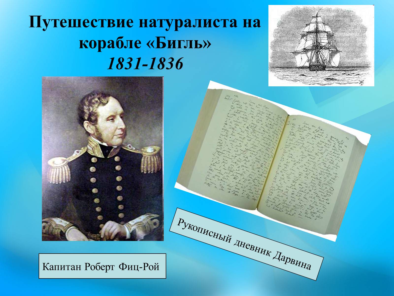 Презентація на тему «Чарльз Дарвин» - Слайд #11 Презентація на тему «Чарльз Дарвин» - Слайд #11