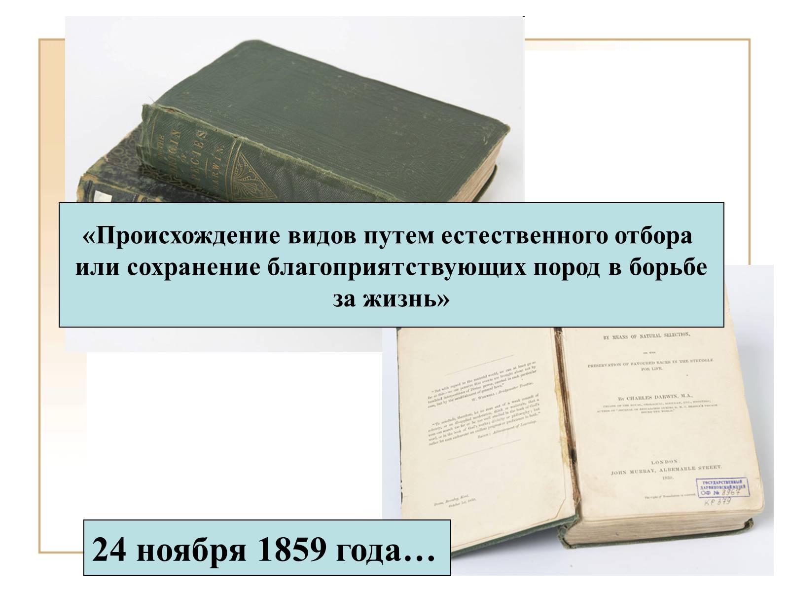 Презентація на тему «Чарльз Дарвин» - Слайд #4 Презентація на тему «Чарльз Дарвин» - Слайд #4